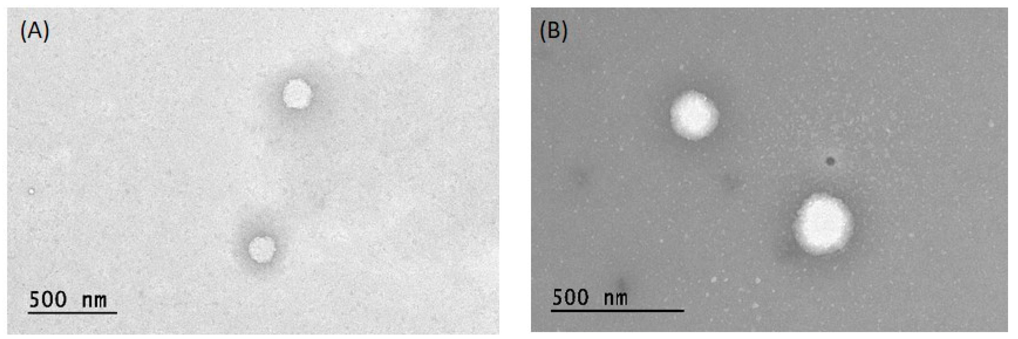Nanomaterials 11 00105 g002
