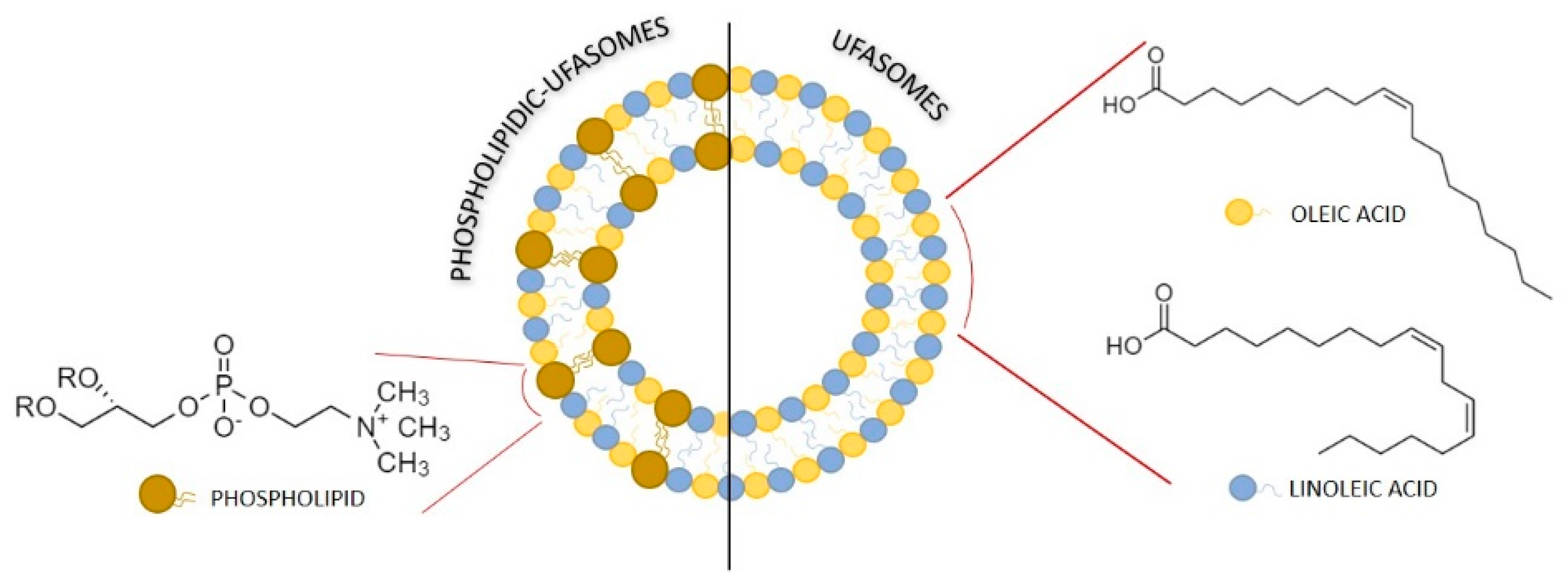 Nanomaterials 11 00105 g003