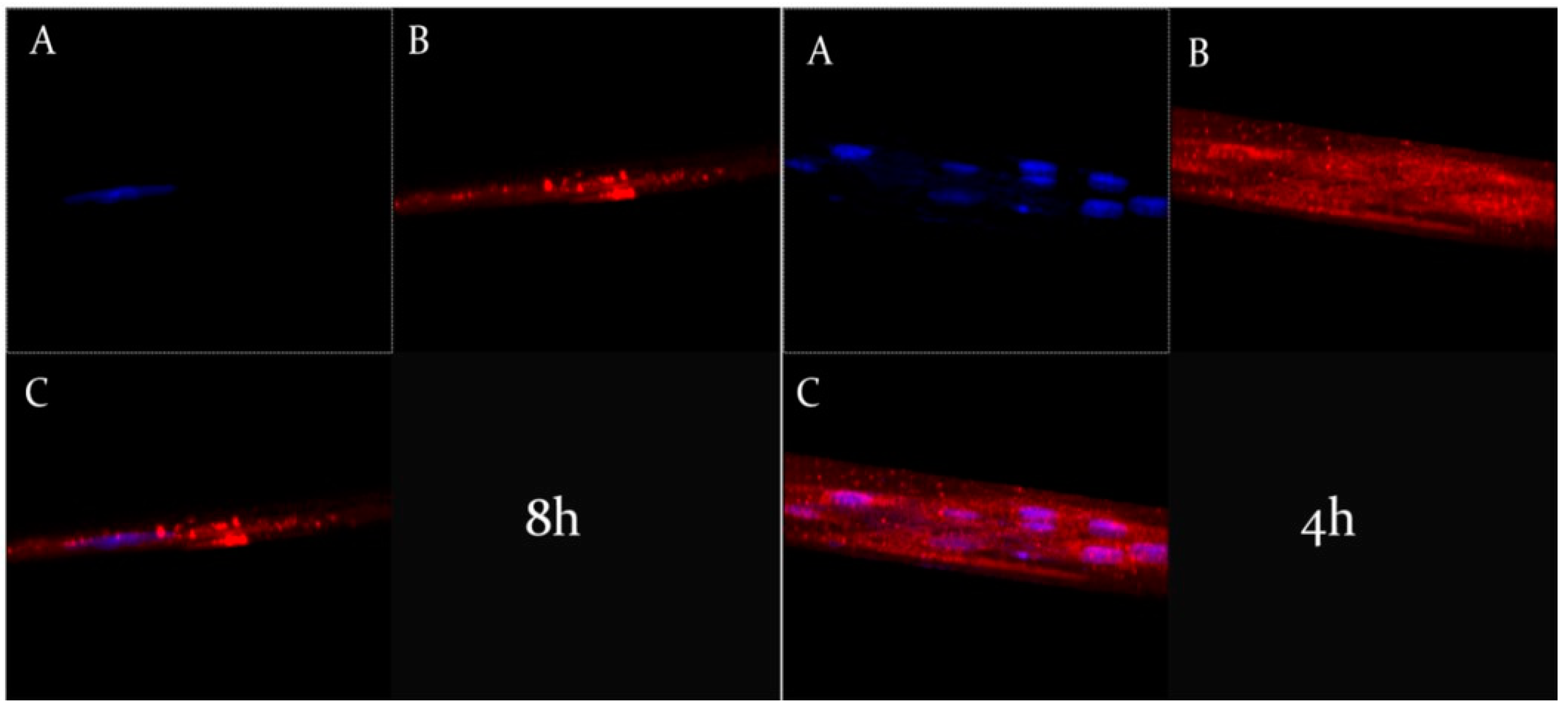 Nanomaterials 11 00105 g007
