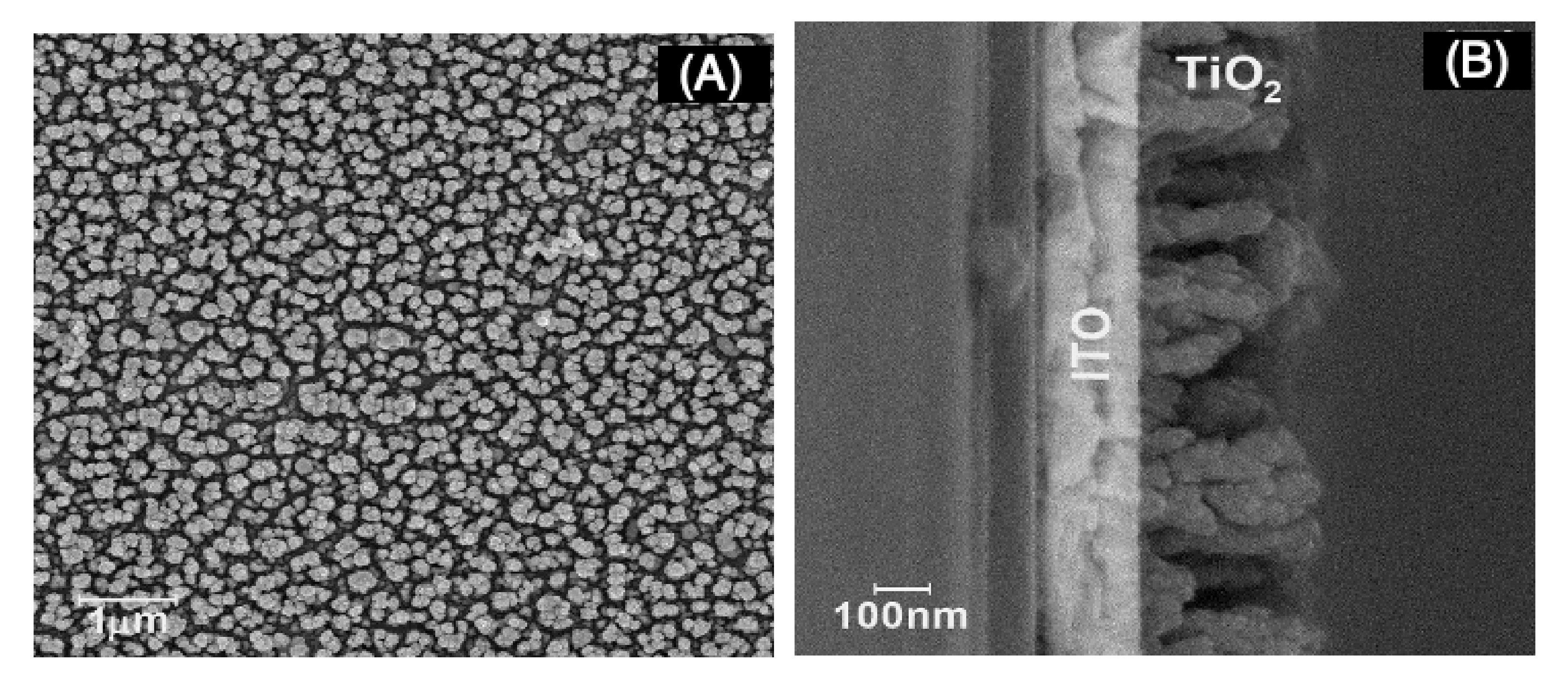 Nanomaterials 11 00107 g002