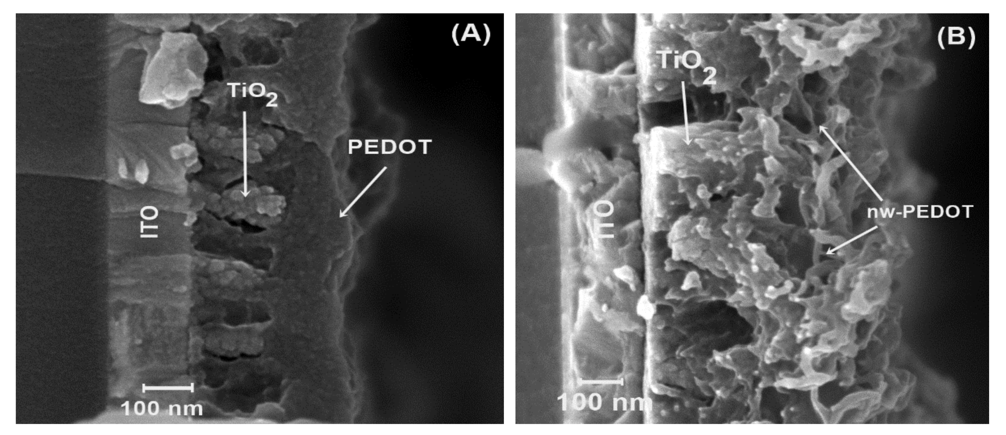 Nanomaterials 11 00107 g003