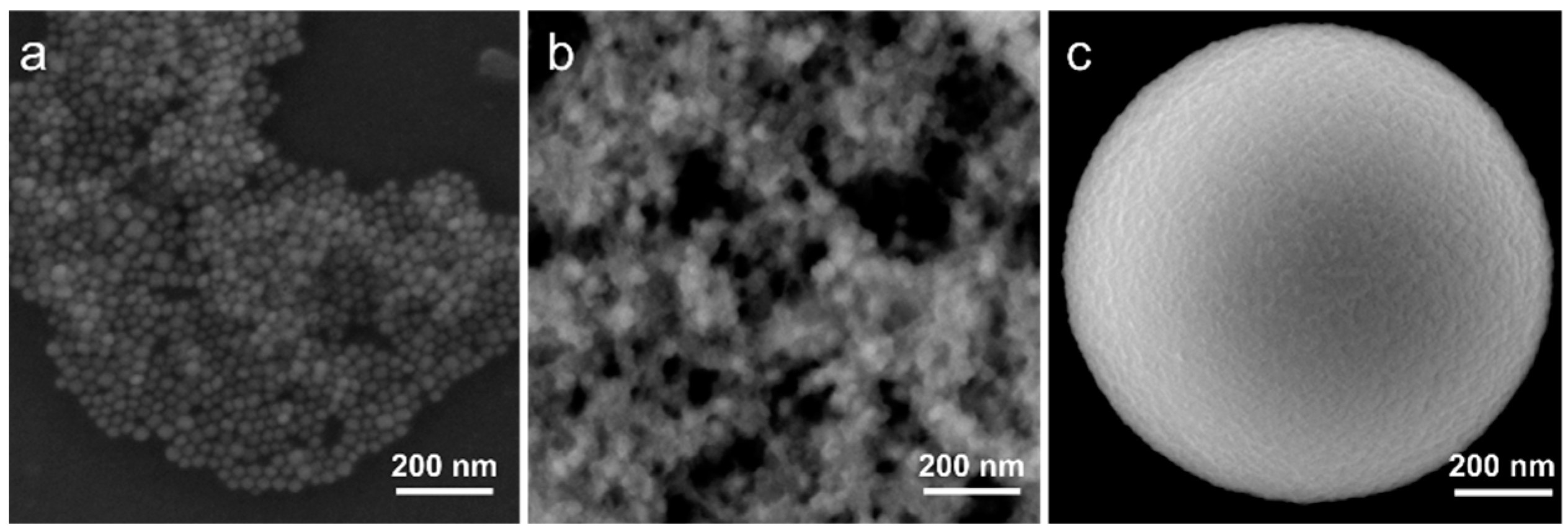 Nanomaterials 11 00119 g001