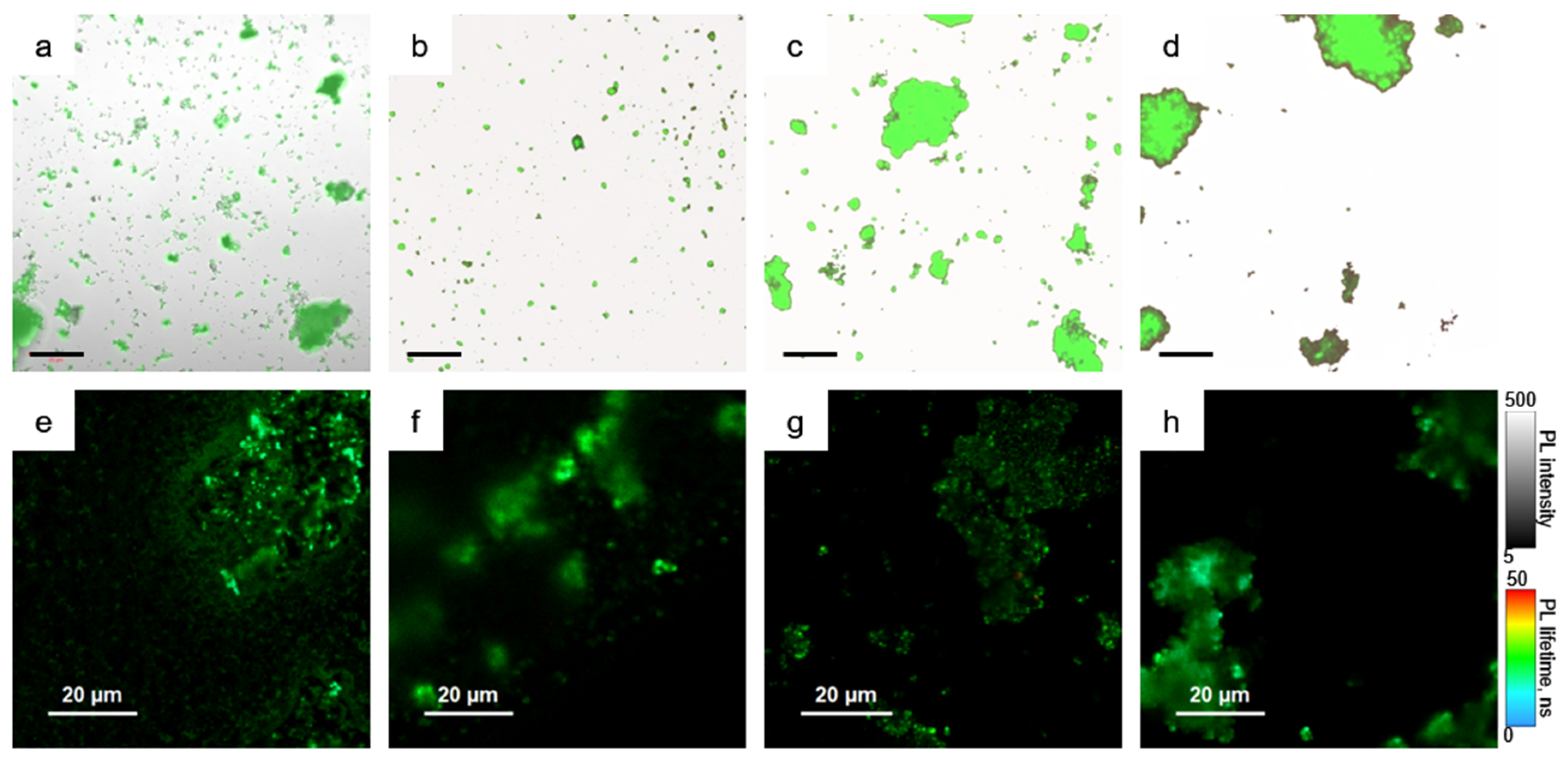 Nanomaterials 11 00119 g004