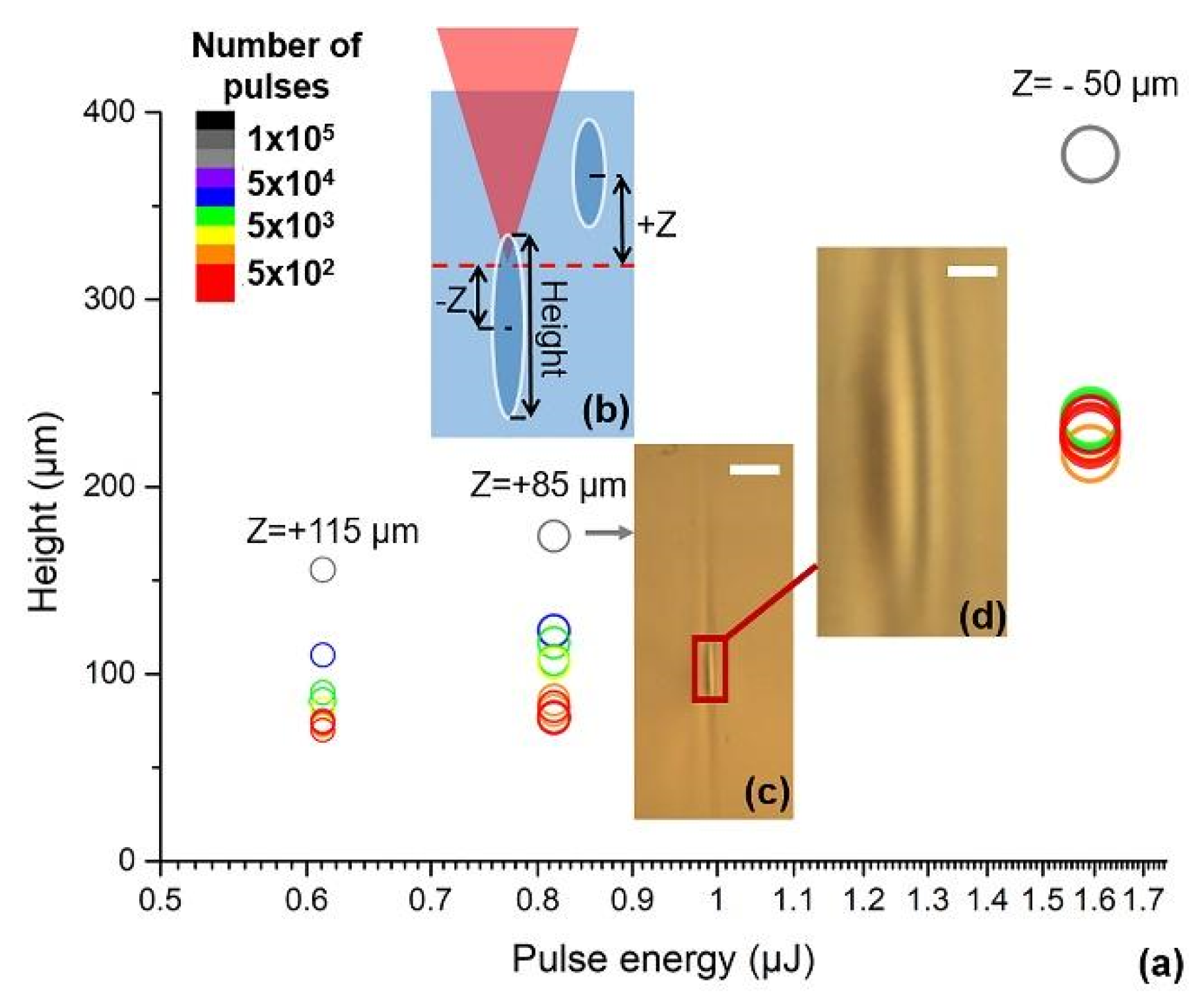 Nanomaterials 11 00123 g002 Nanomaterials 11 00123 g002