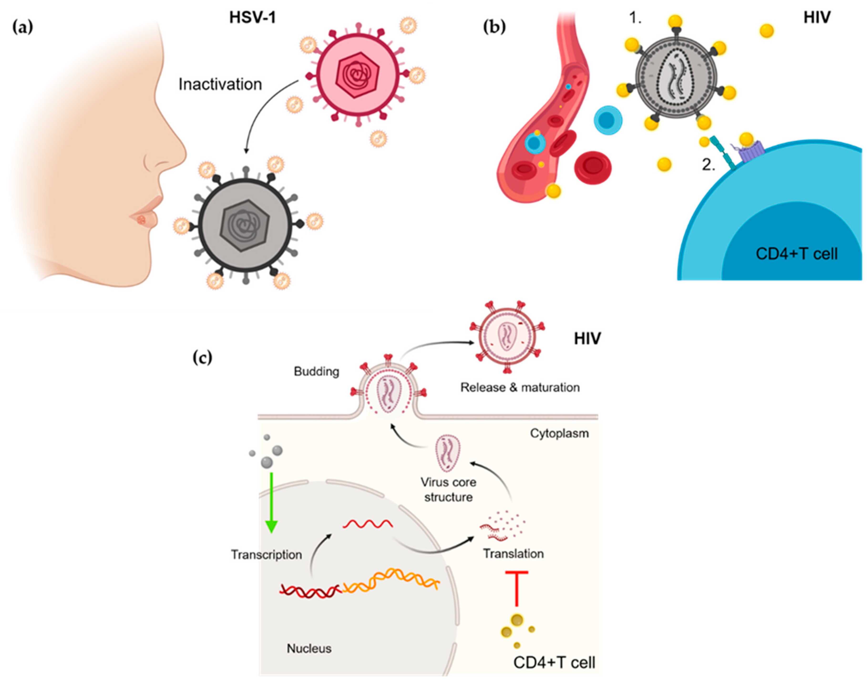 Nanomaterials 11 00137 g002 Nanomaterials 11 00137 g002