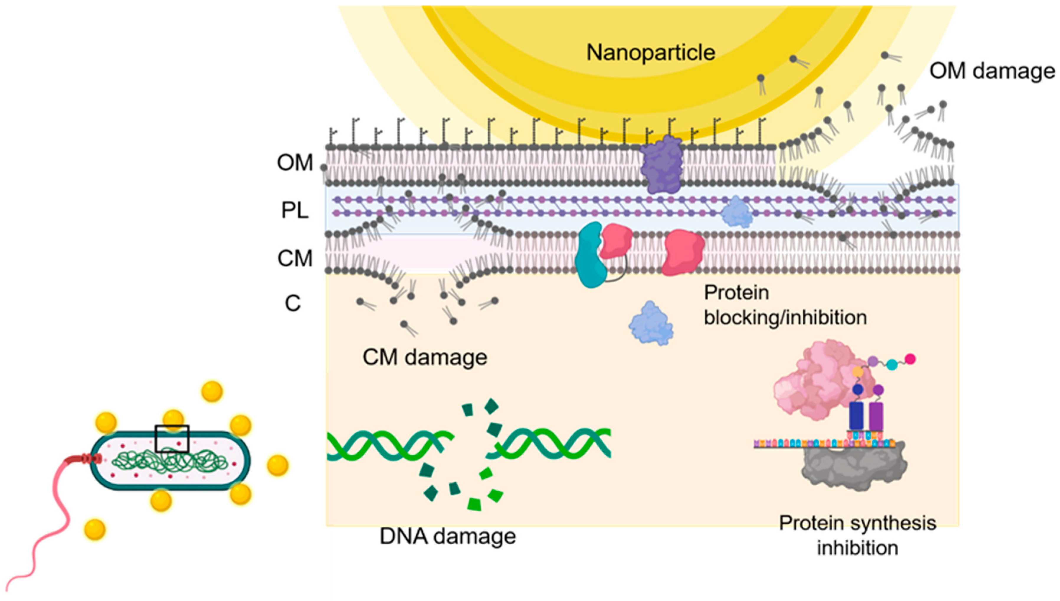 Nanomaterials 11 00137 g003 Nanomaterials 11 00137 g003