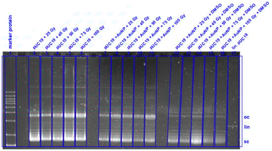 Nanomaterials 11 00138 g0a17