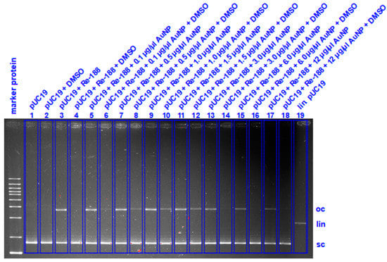 Nanomaterials 11 00138 g0a18