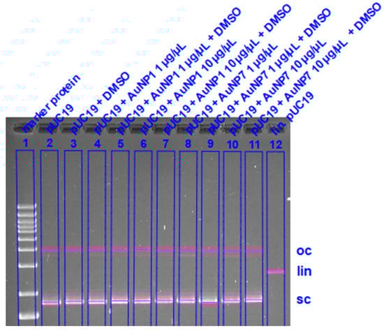 Nanomaterials 11 00138 g0a19