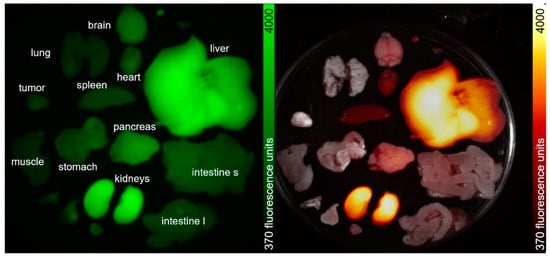 Nanomaterials 11 00138 g0a24
