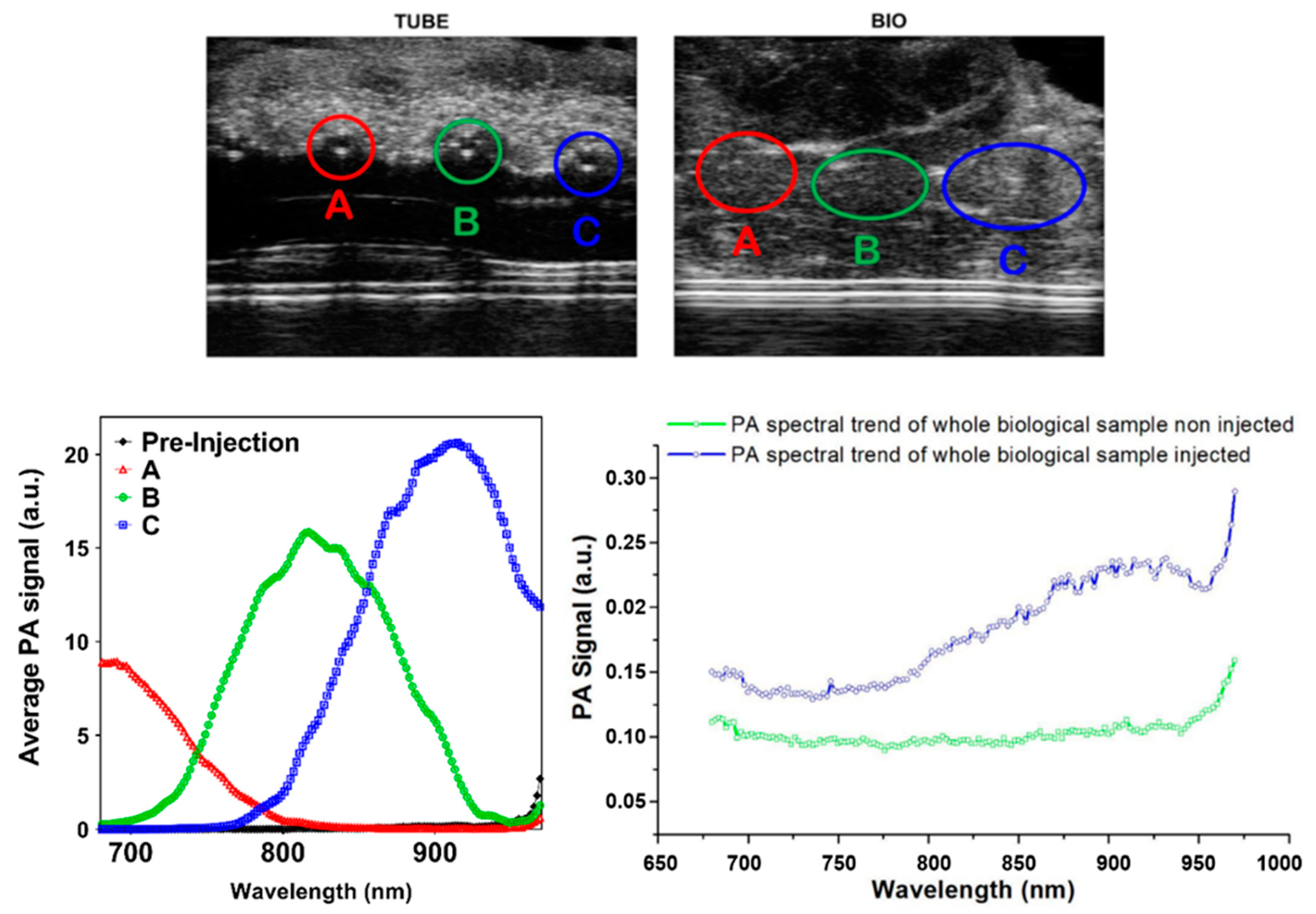 Nanomaterials 11 00142 g003
