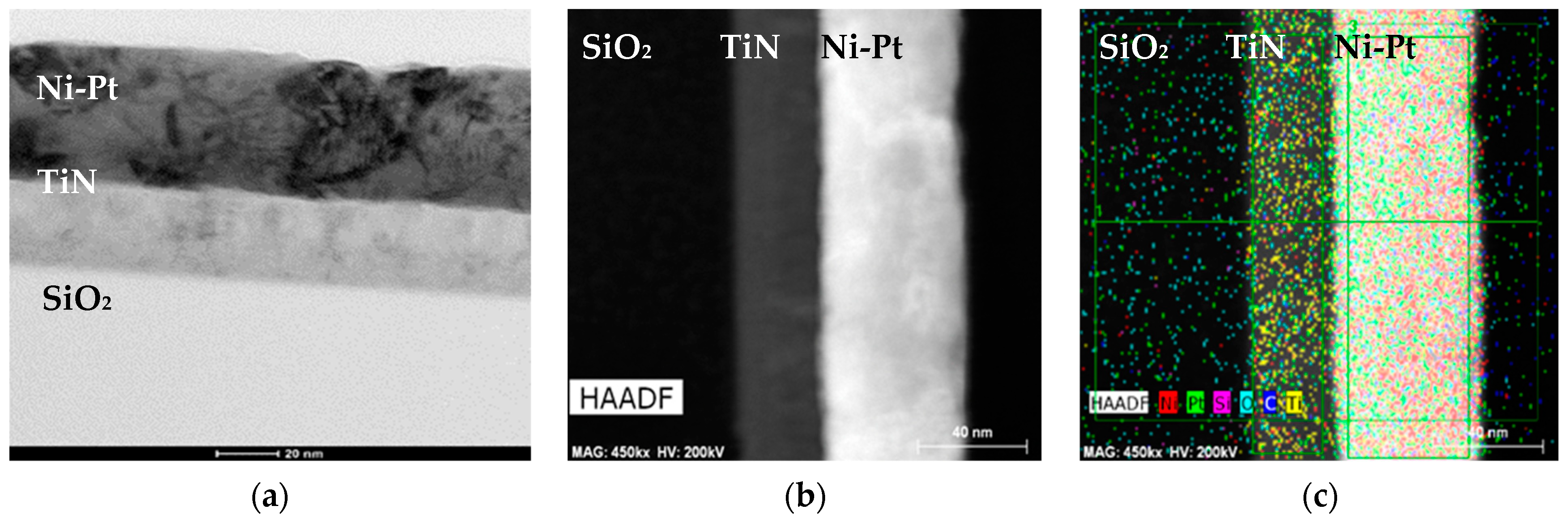 Nanomaterials 11 00151 g008