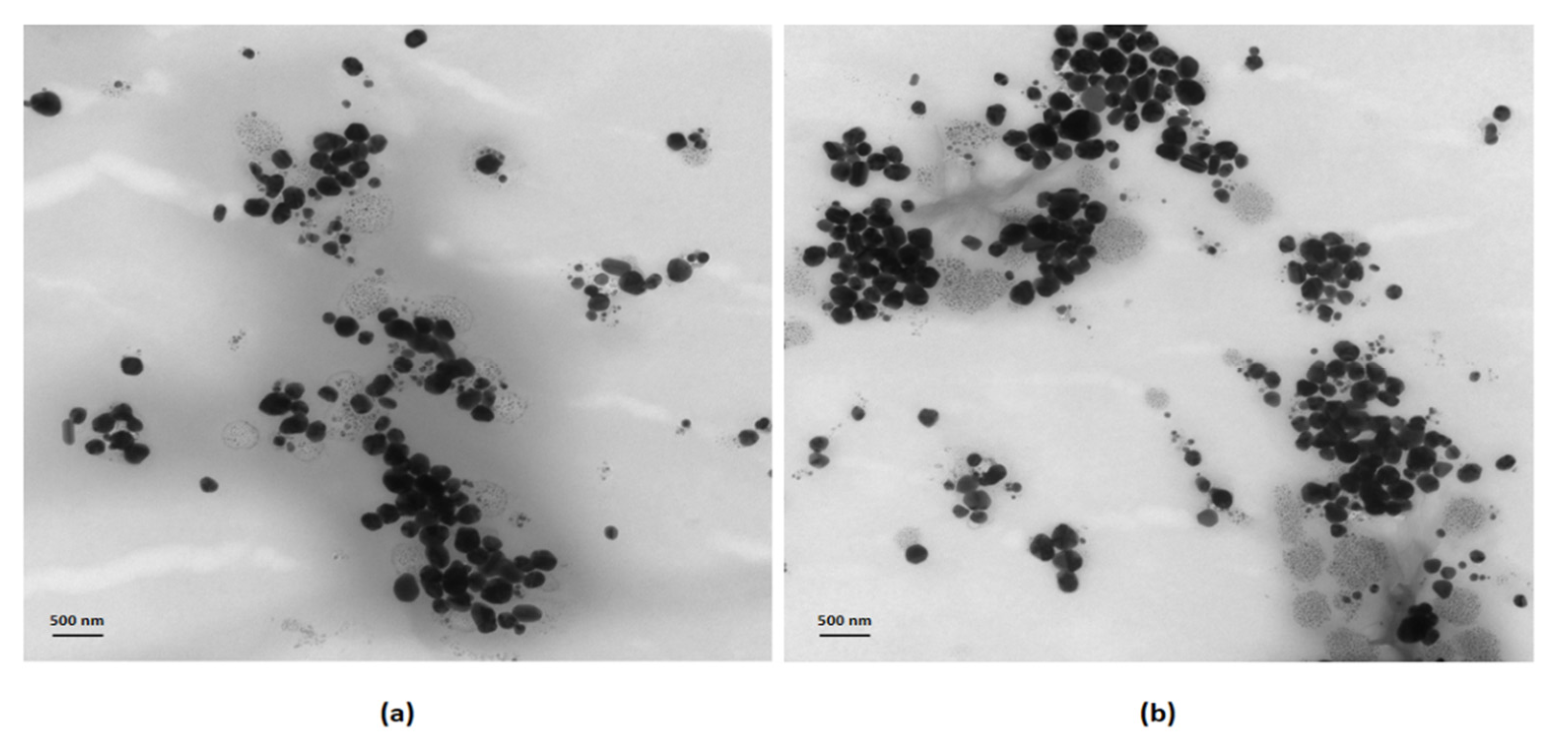 Nanomaterials 11 00152 g002 Nanomaterials 11 00152 g002