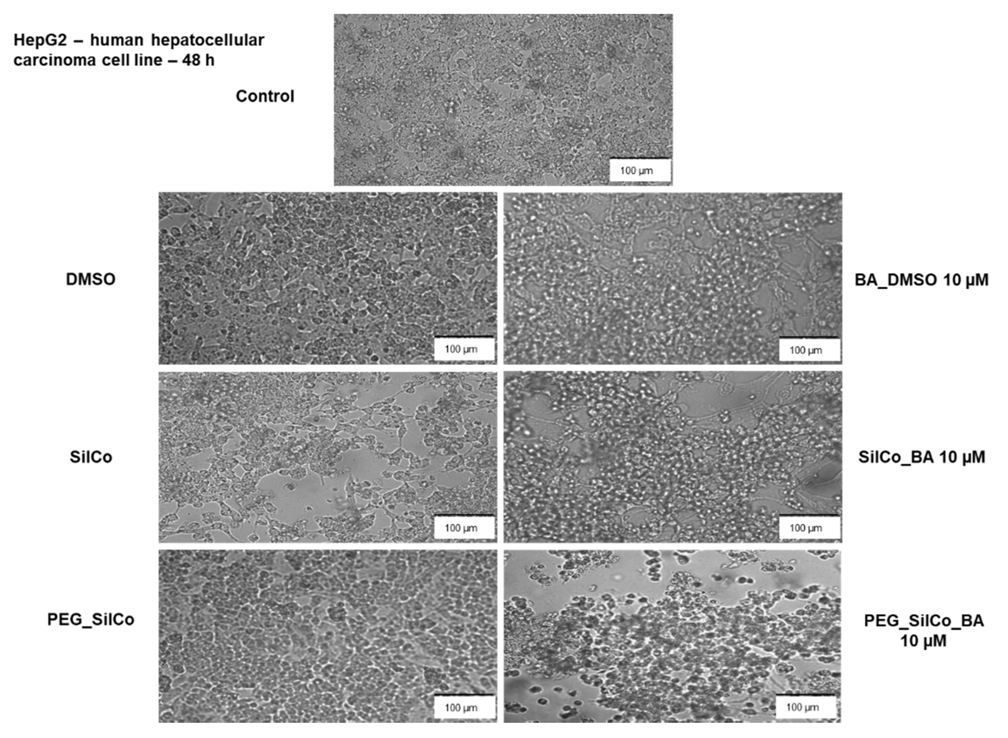 Nanomaterials 11 00152 g005 Nanomaterials 11 00152 g005