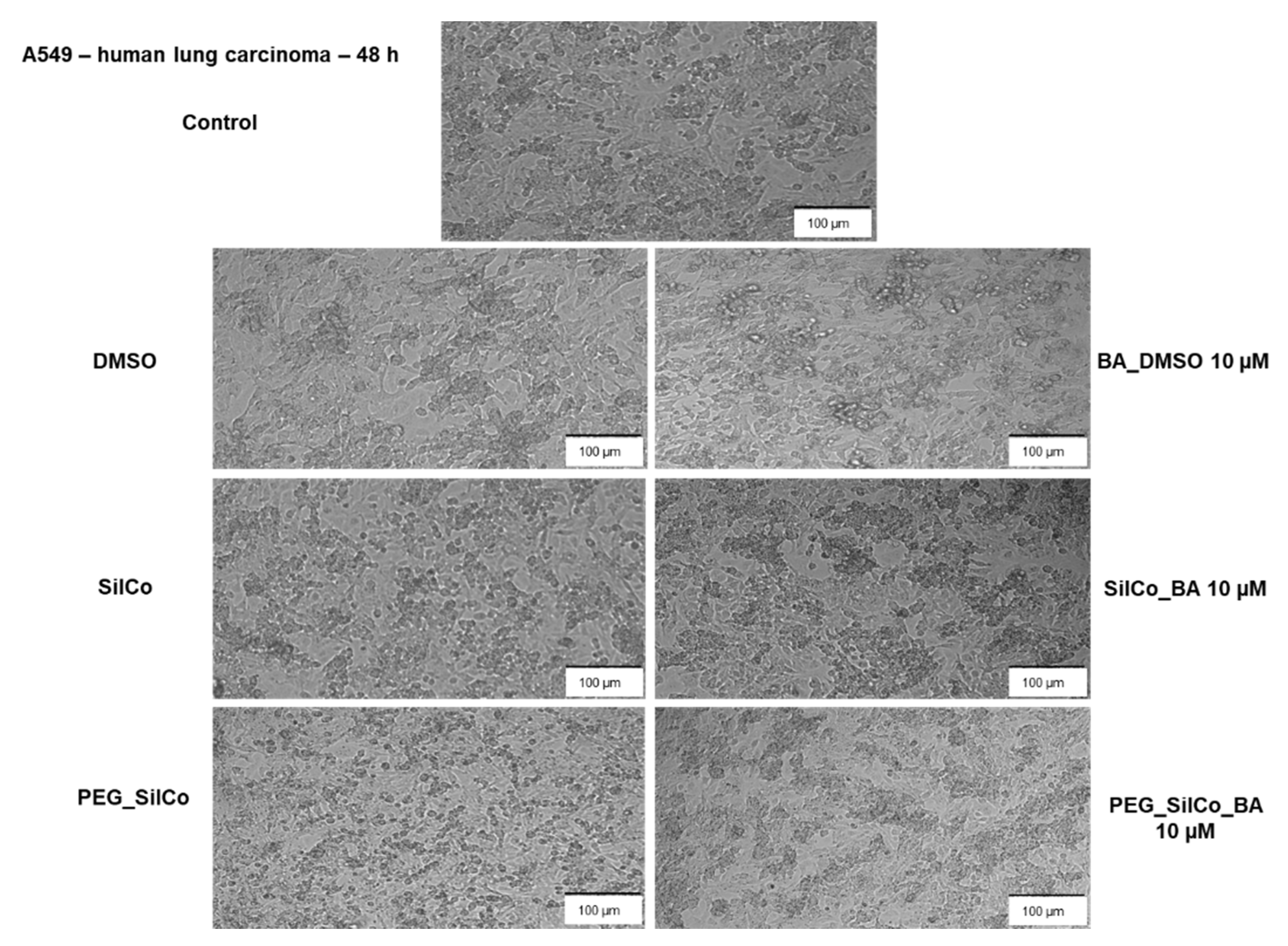 Nanomaterials 11 00152 g007 Nanomaterials 11 00152 g007