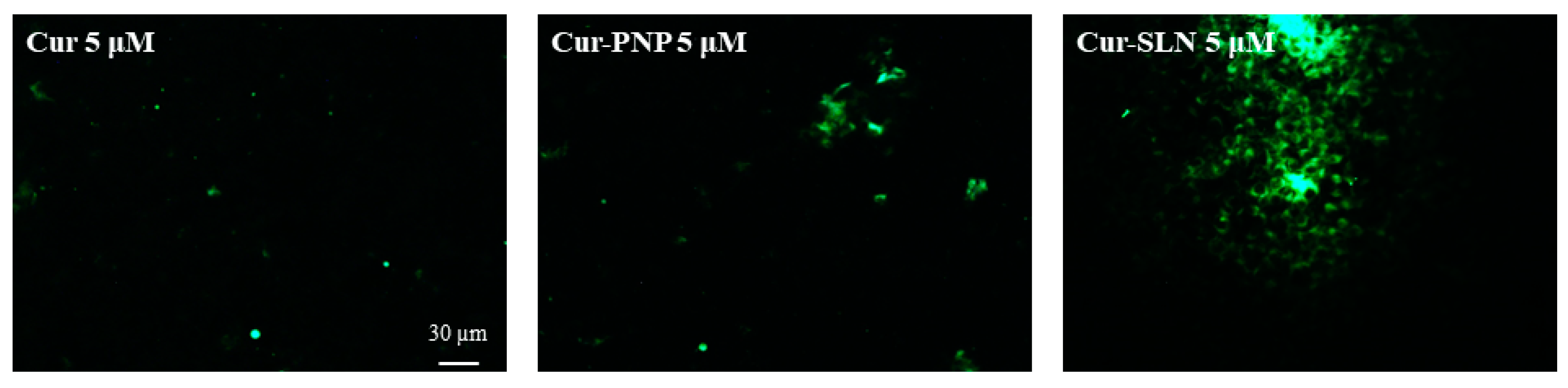Nanomaterials 11 00159 g005