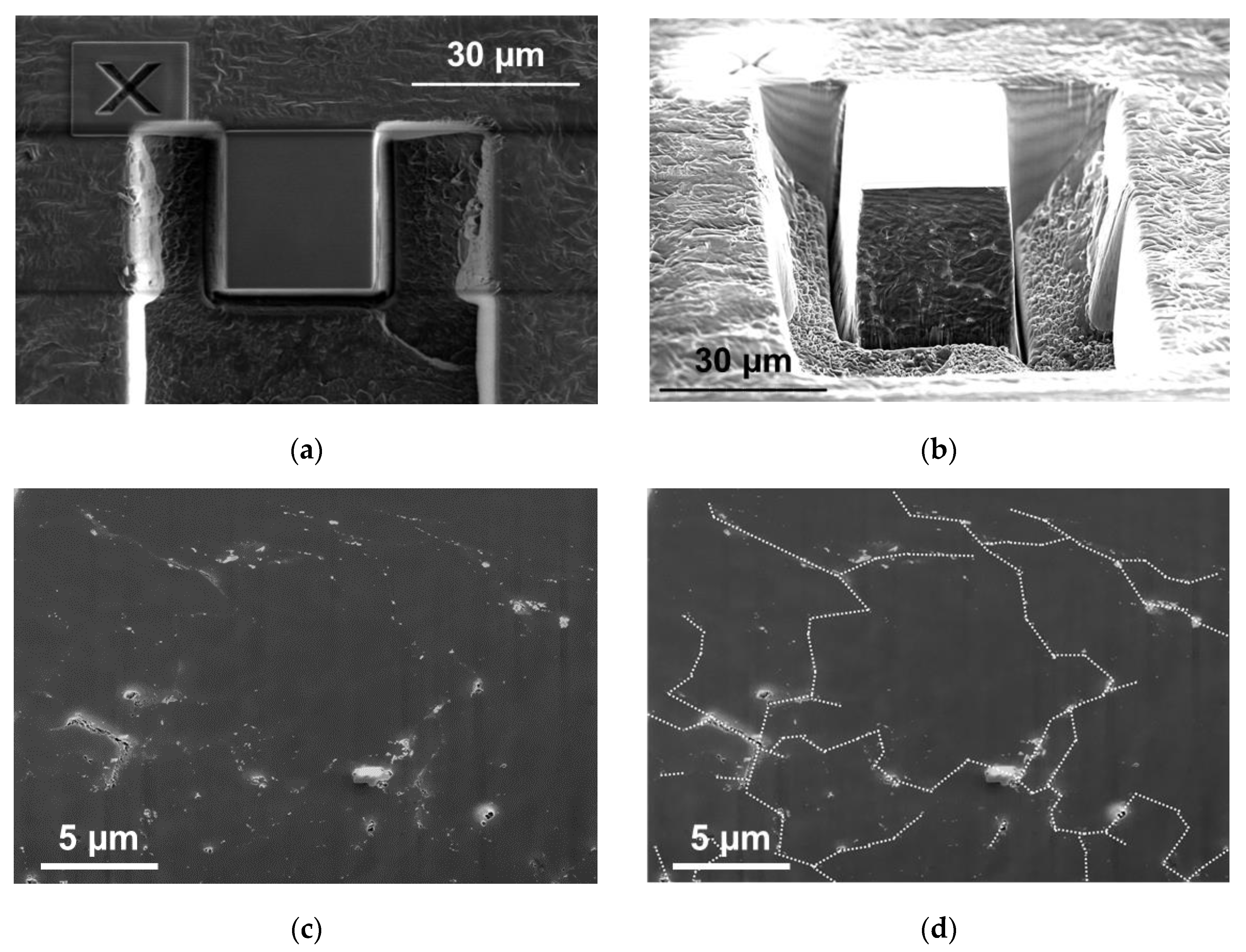 Nanomaterials 11 00162 g002 Nanomaterials 11 00162 g002