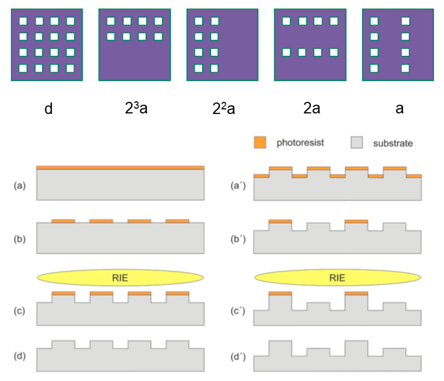 Nanomaterials 11 00164 g002