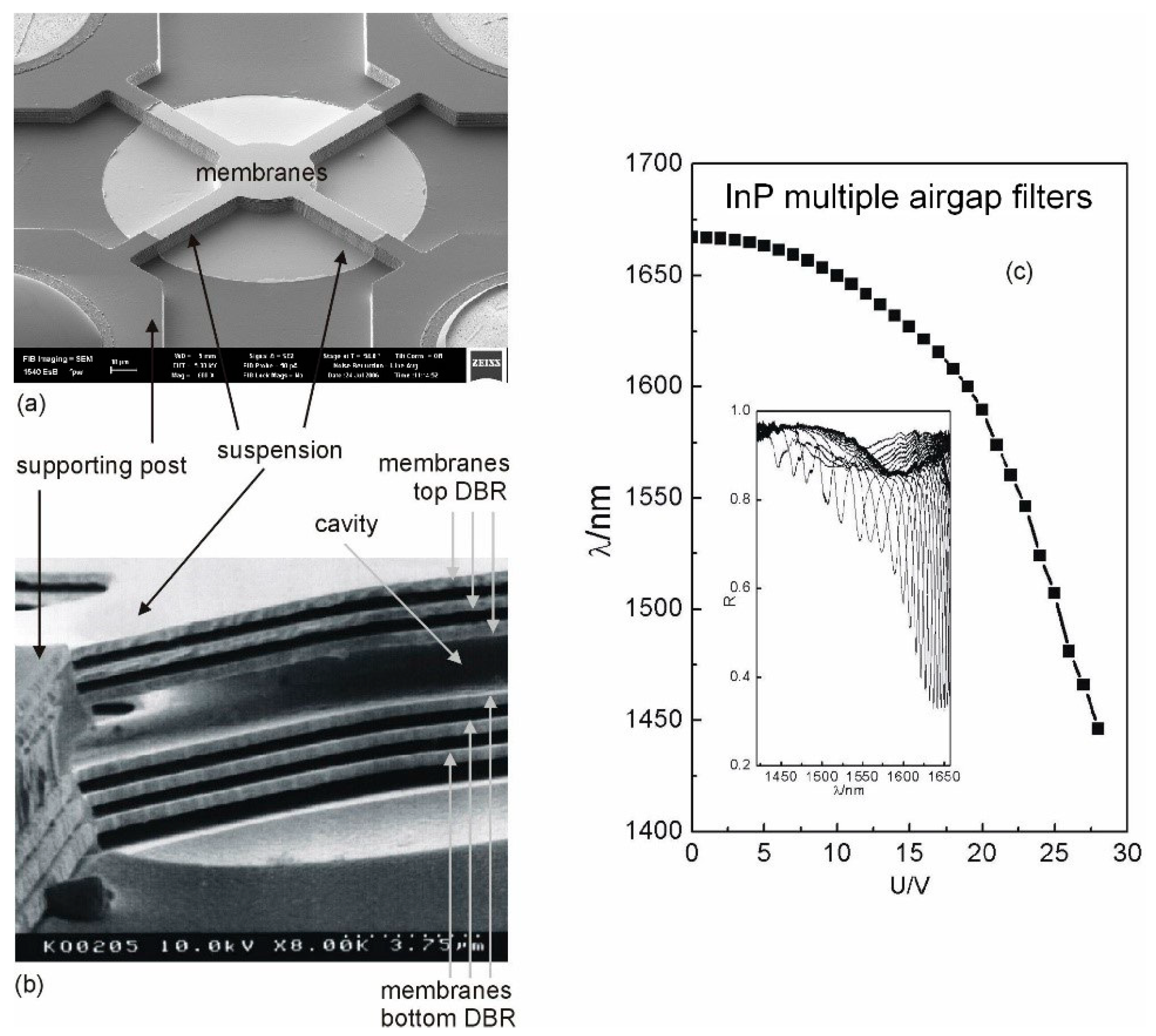 Nanomaterials 11 00164 g012