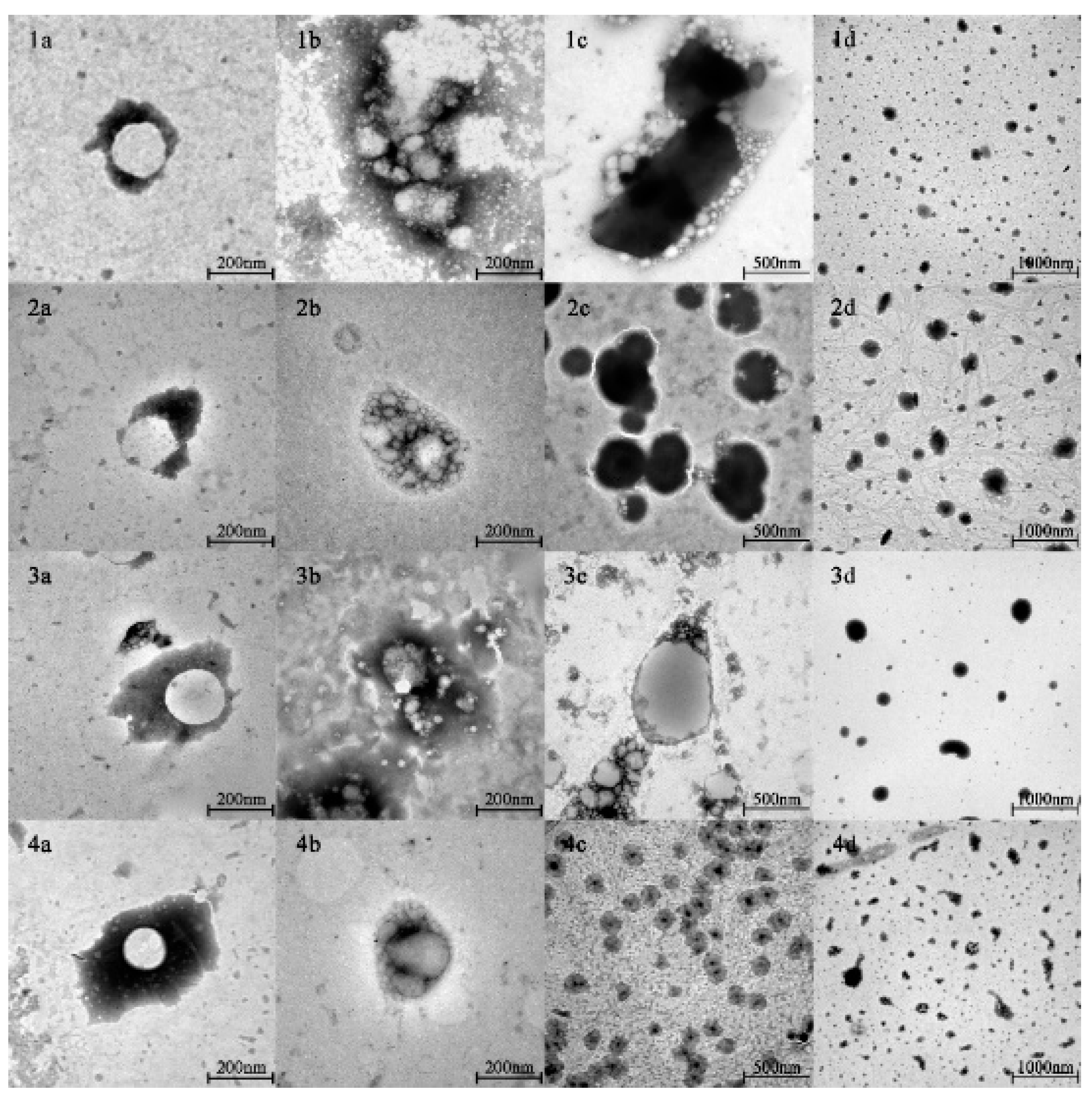 Nanomaterials 11 00167 g001 Nanomaterials 11 00167 g001