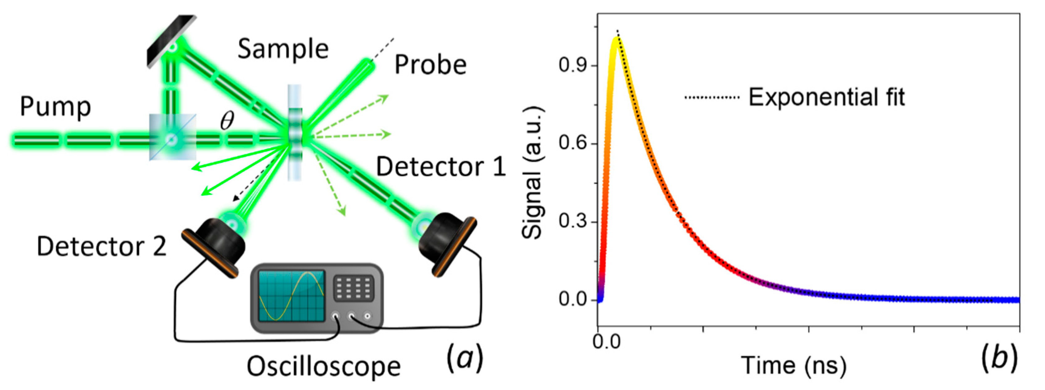 Nanomaterials 11 00175 g010