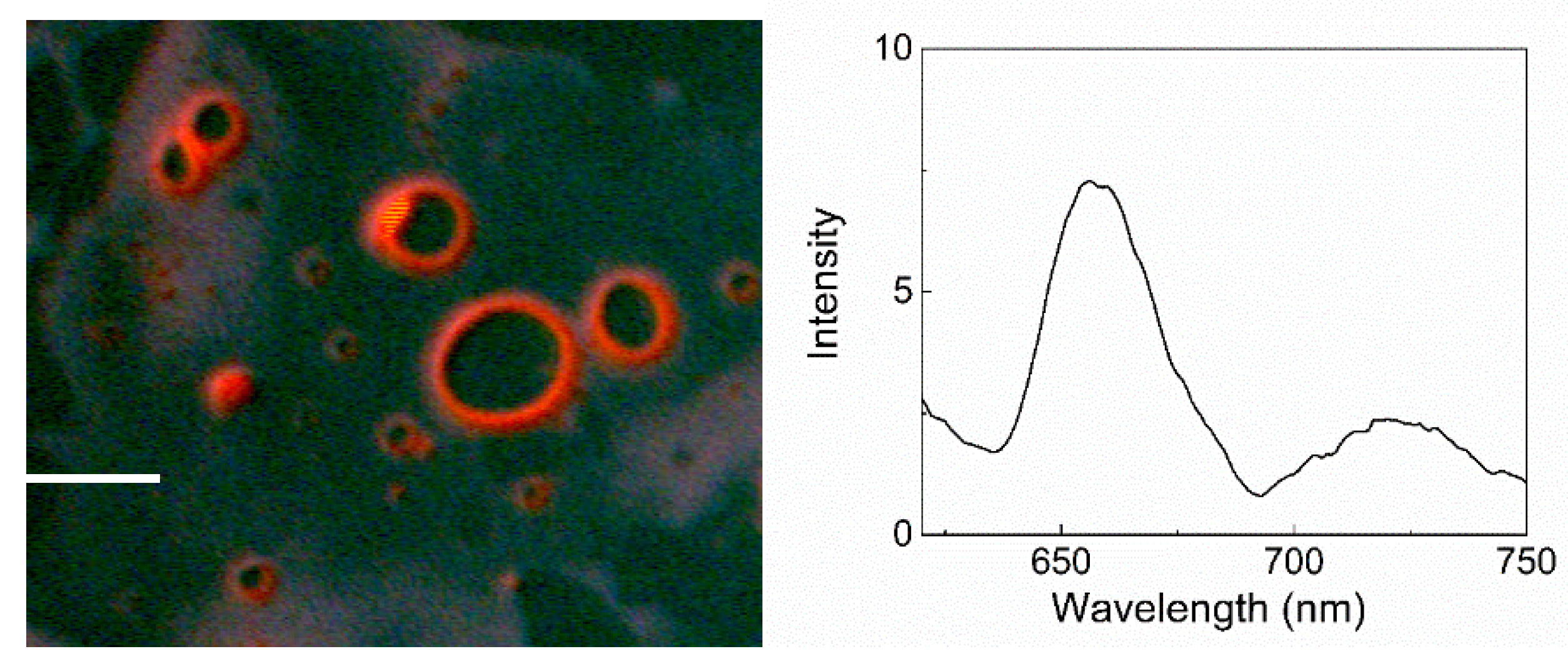 Nanomaterials 11 00178 g004