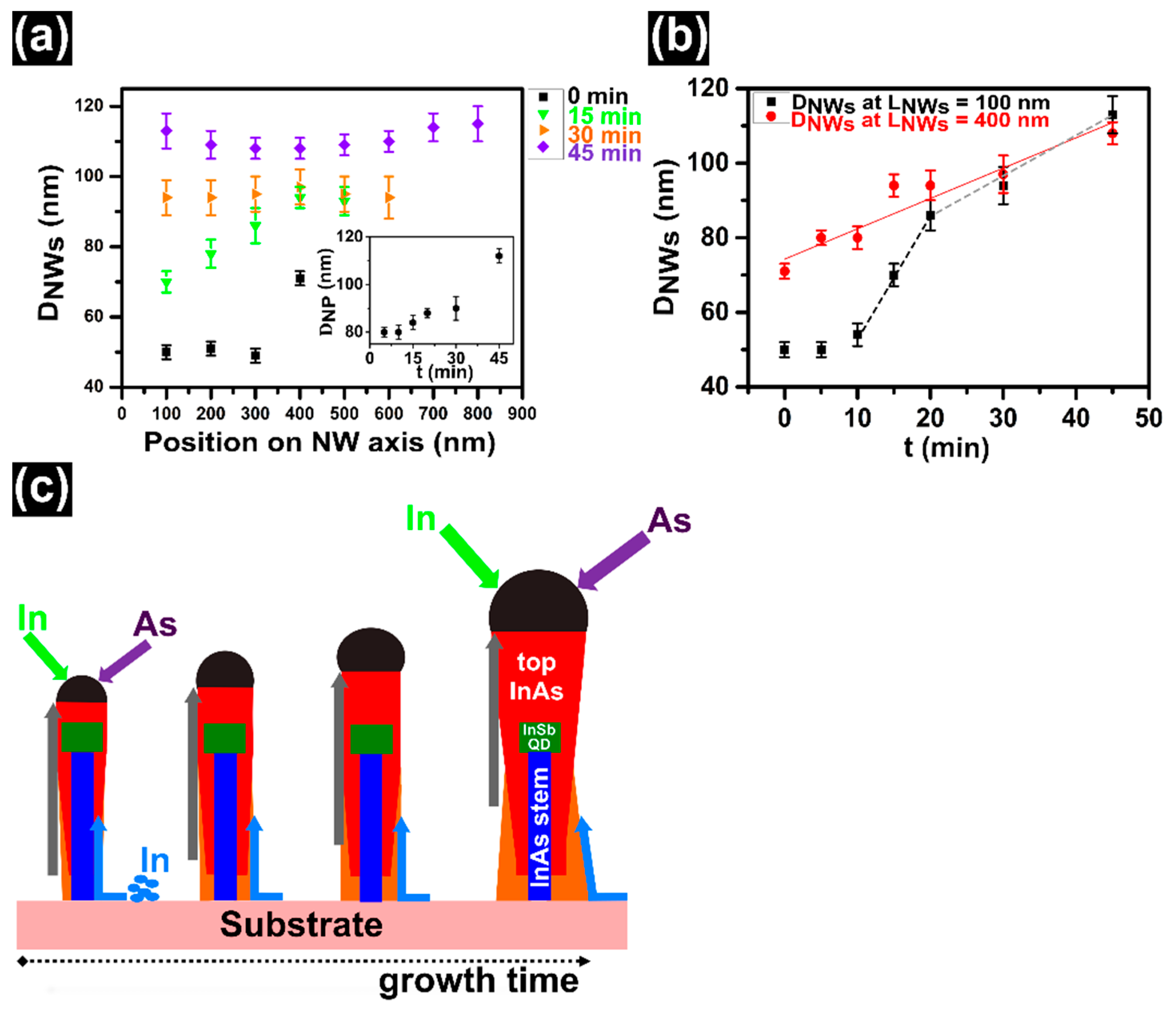 Nanomaterials 11 00179 g005