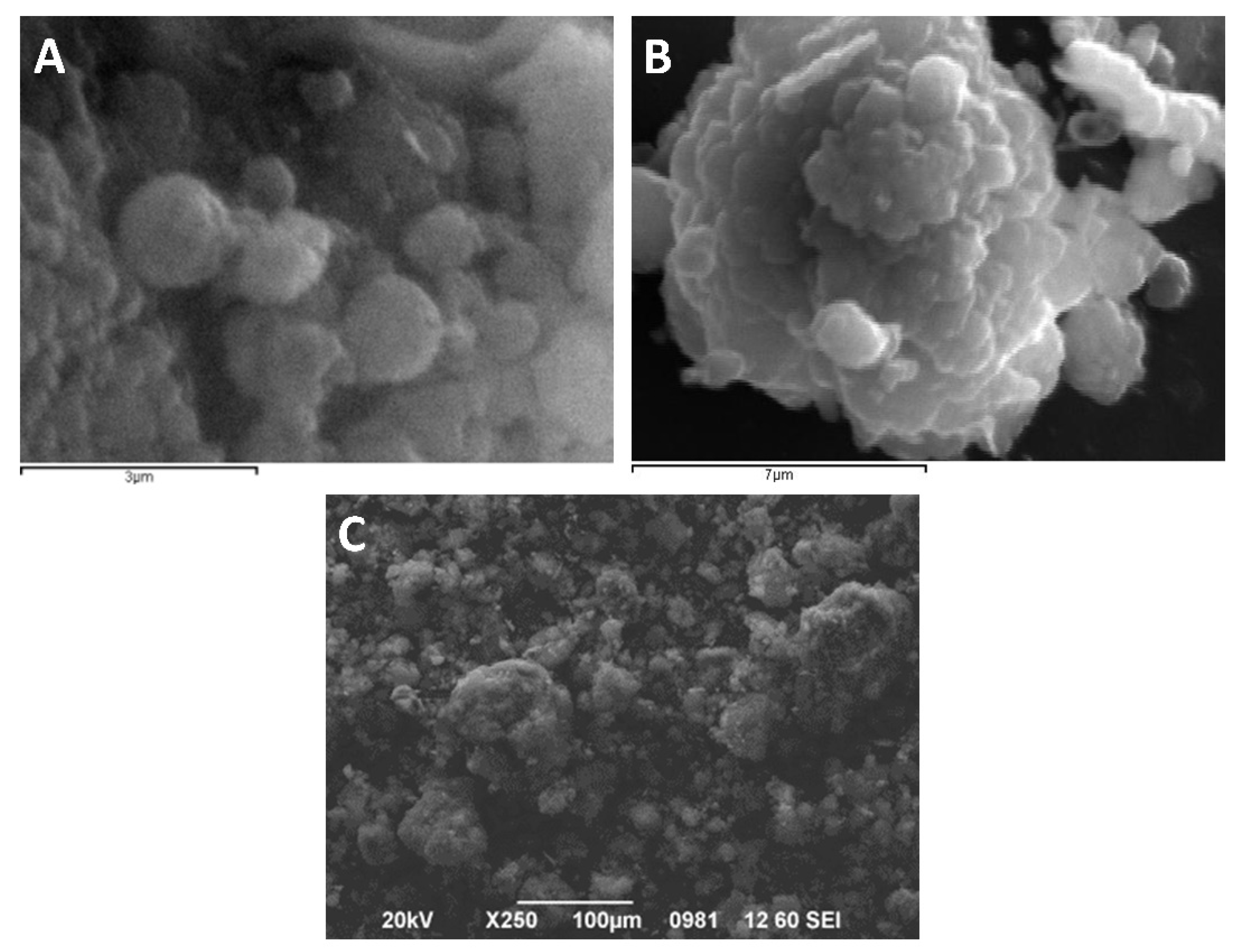 Nanomaterials 11 00191 g008
