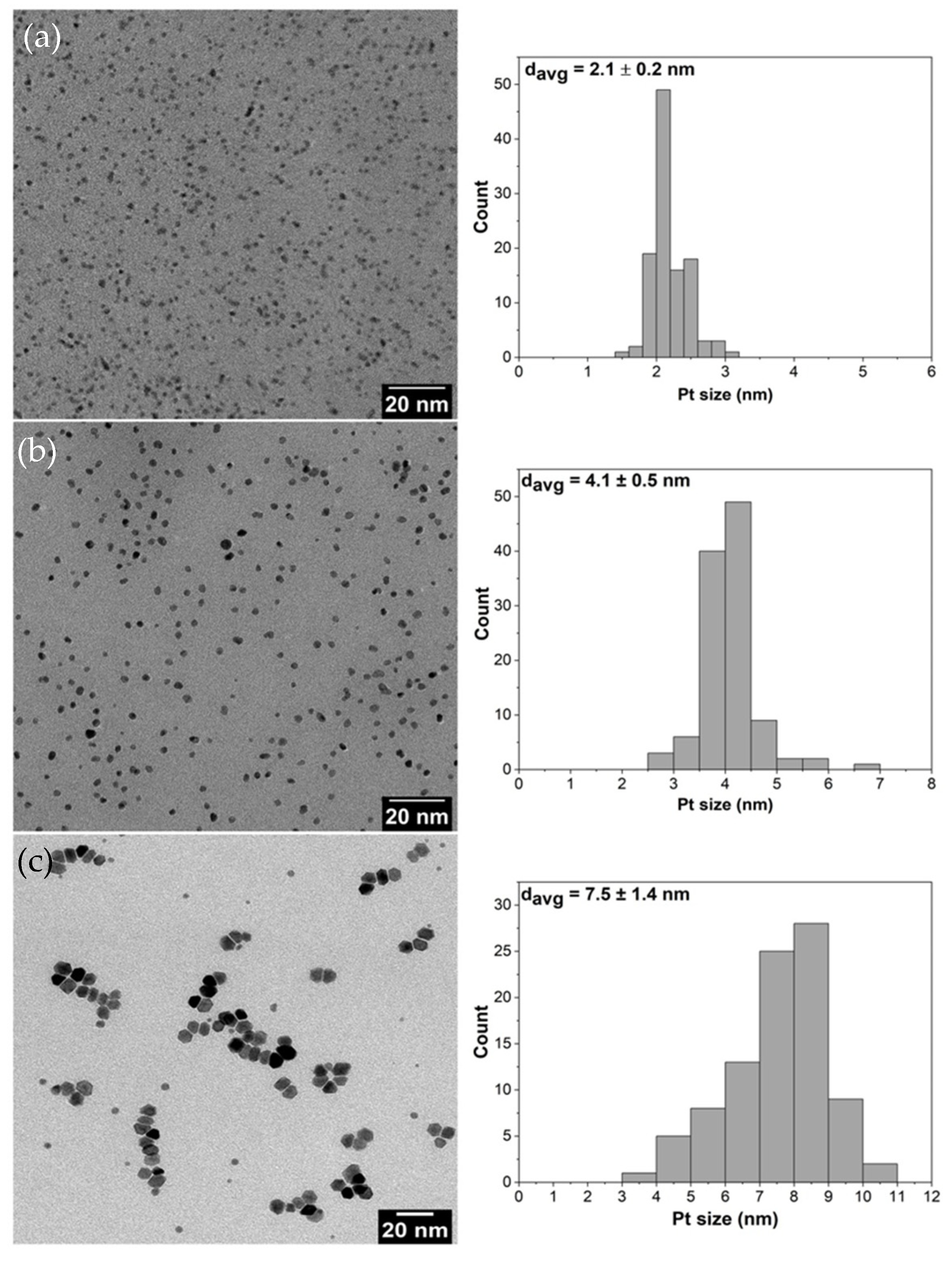 Nanomaterials 11 00195 g001