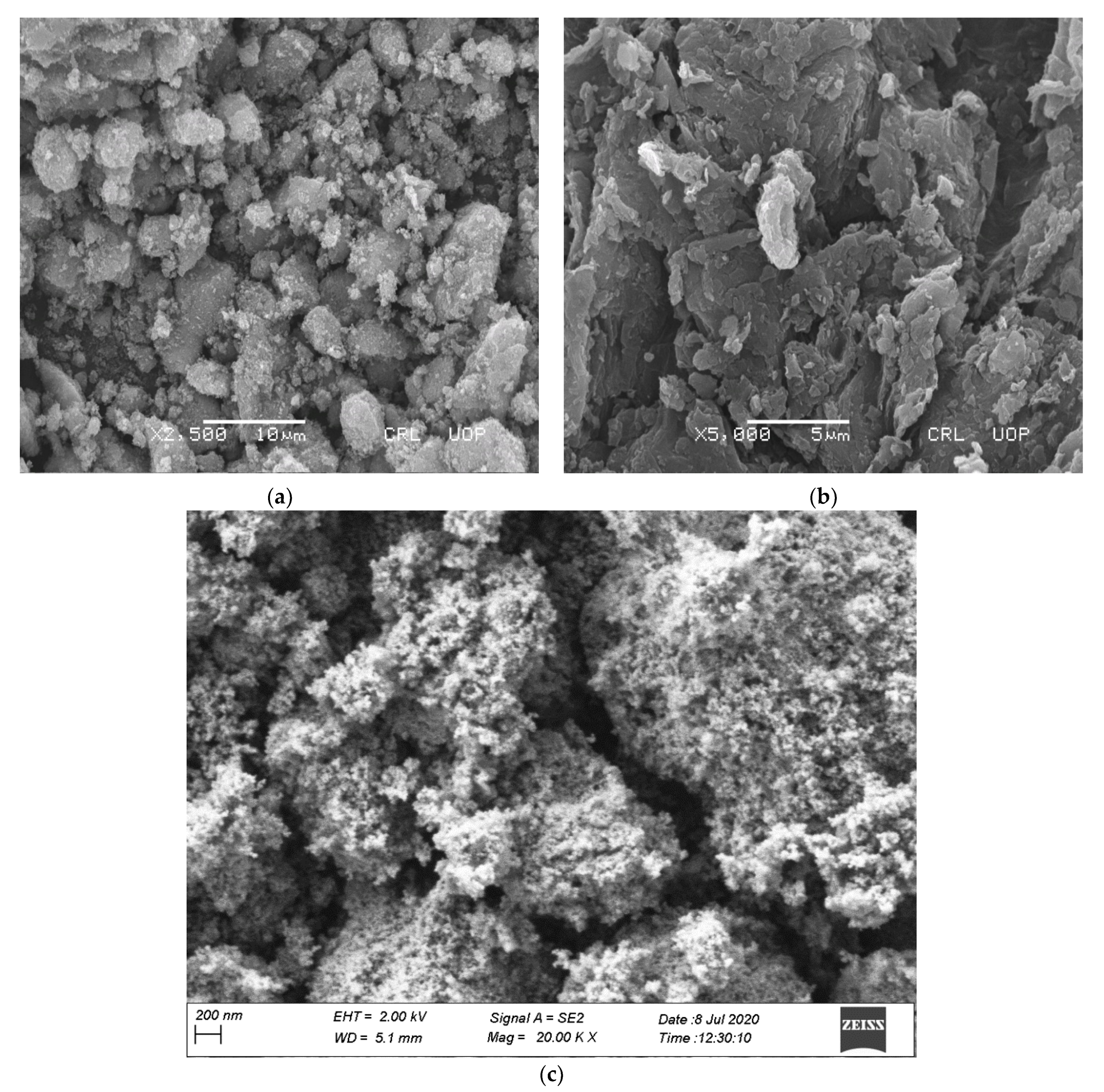 Nanomaterials 11 00203 g003