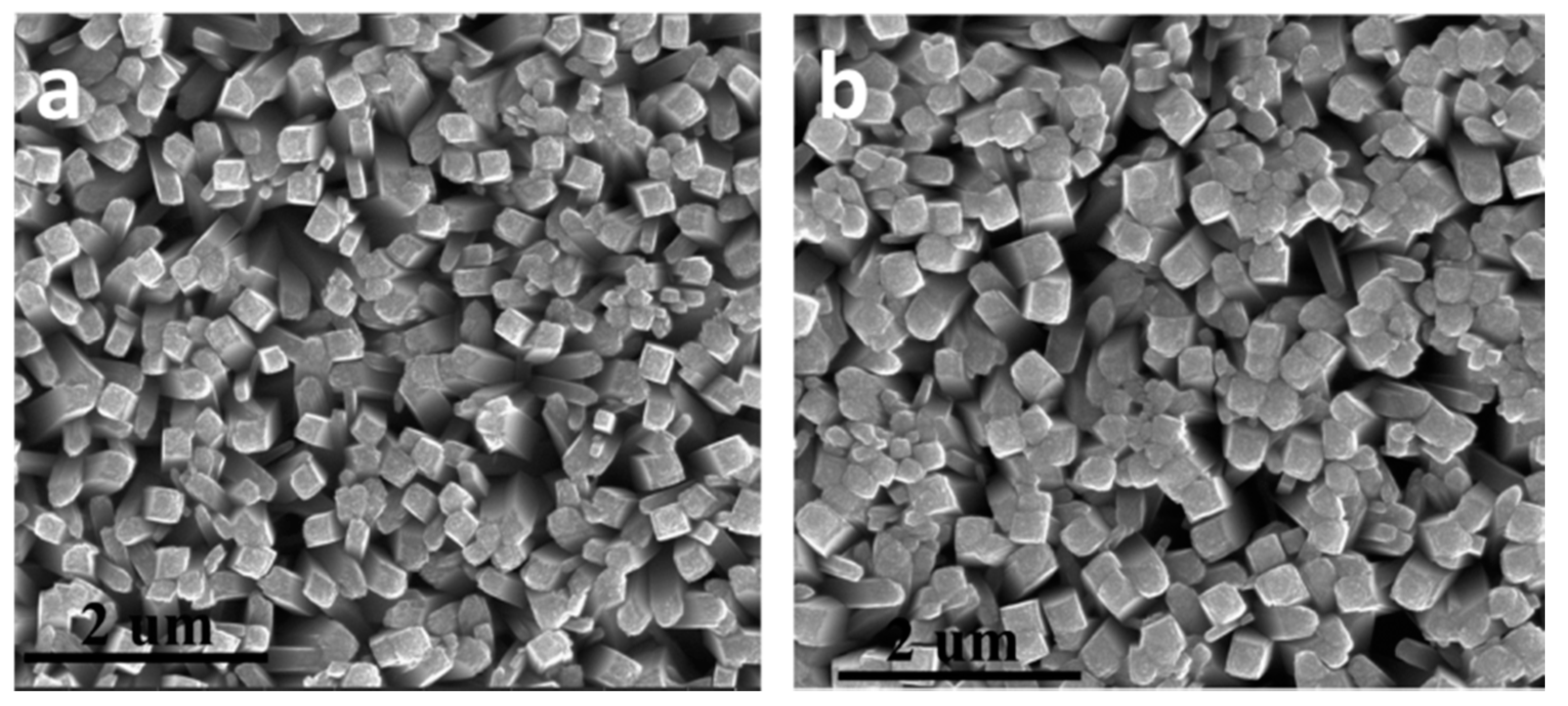 Nanomaterials 11 00214 g002