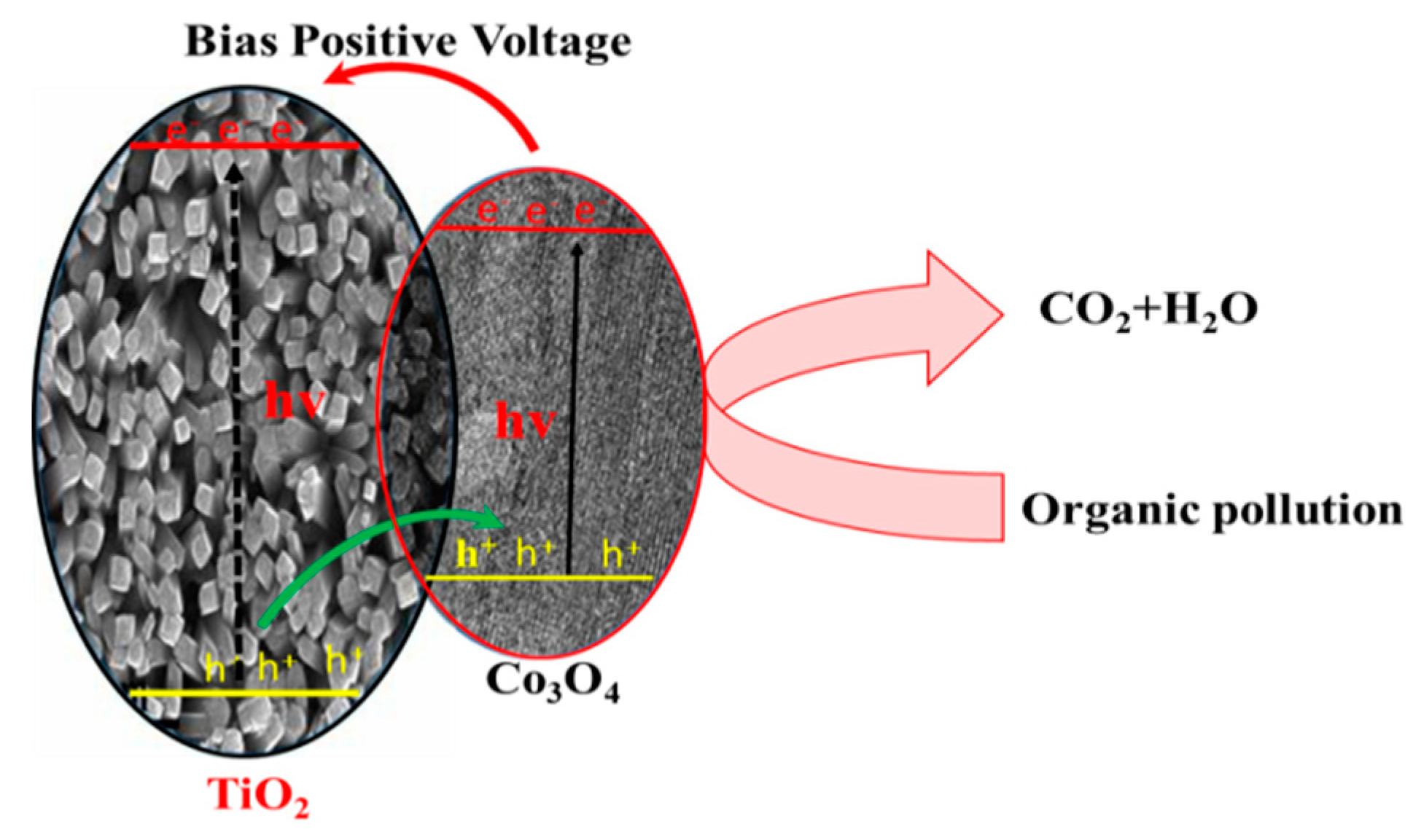 Nanomaterials 11 00214 sch001
