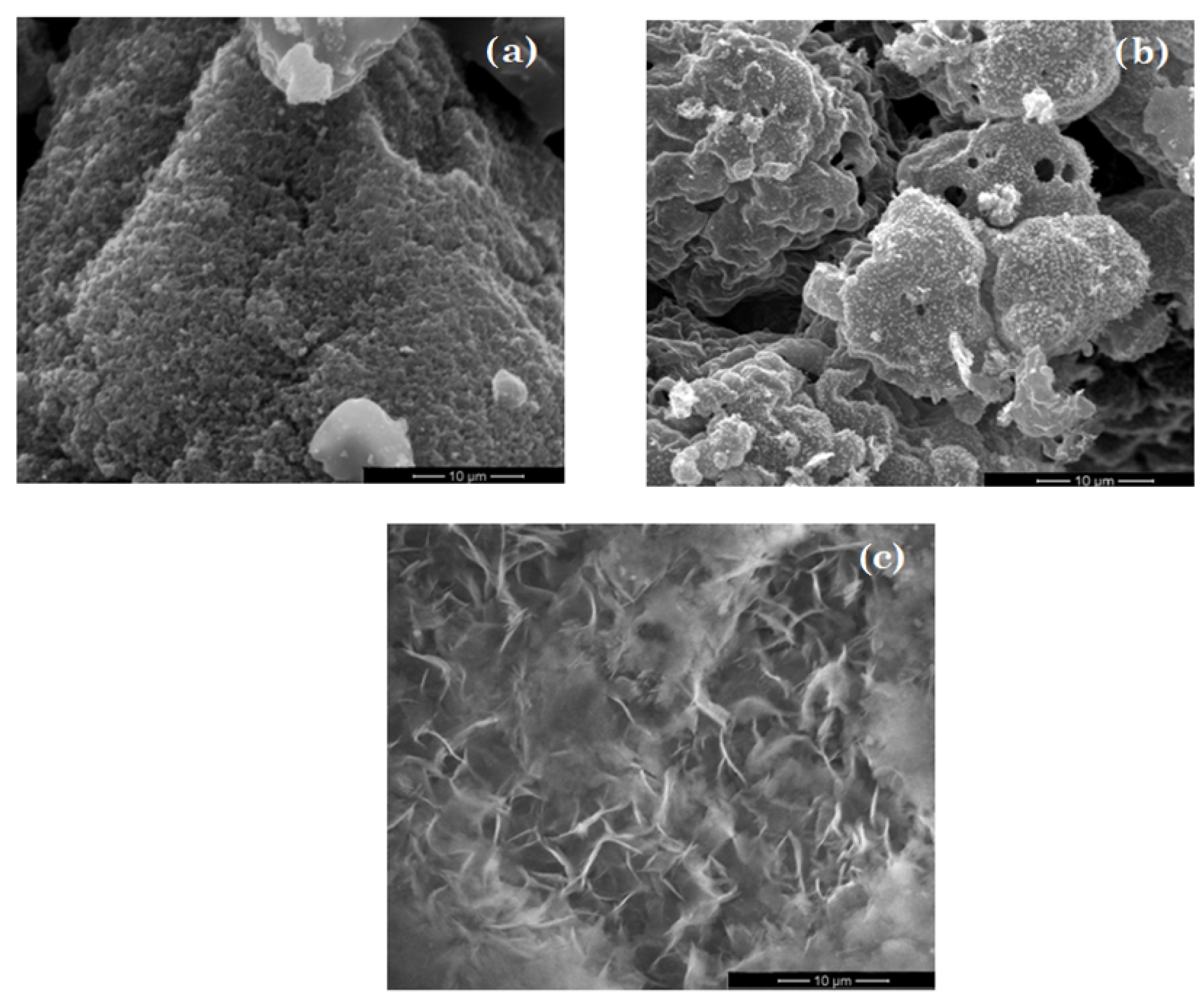 Nanomaterials 11 00215 g005