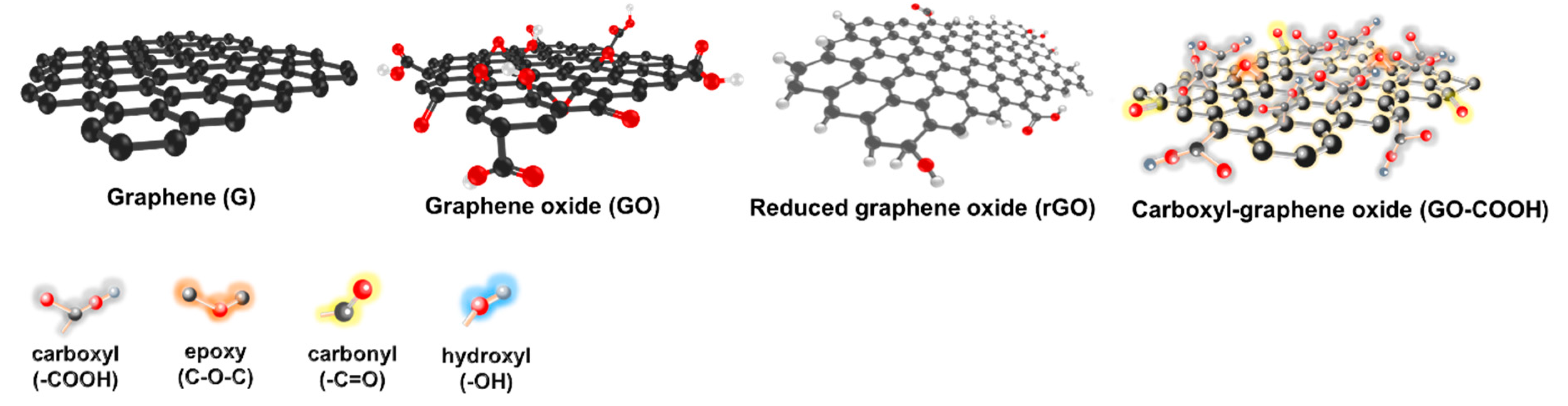 Nanomaterials 11 00216 g001