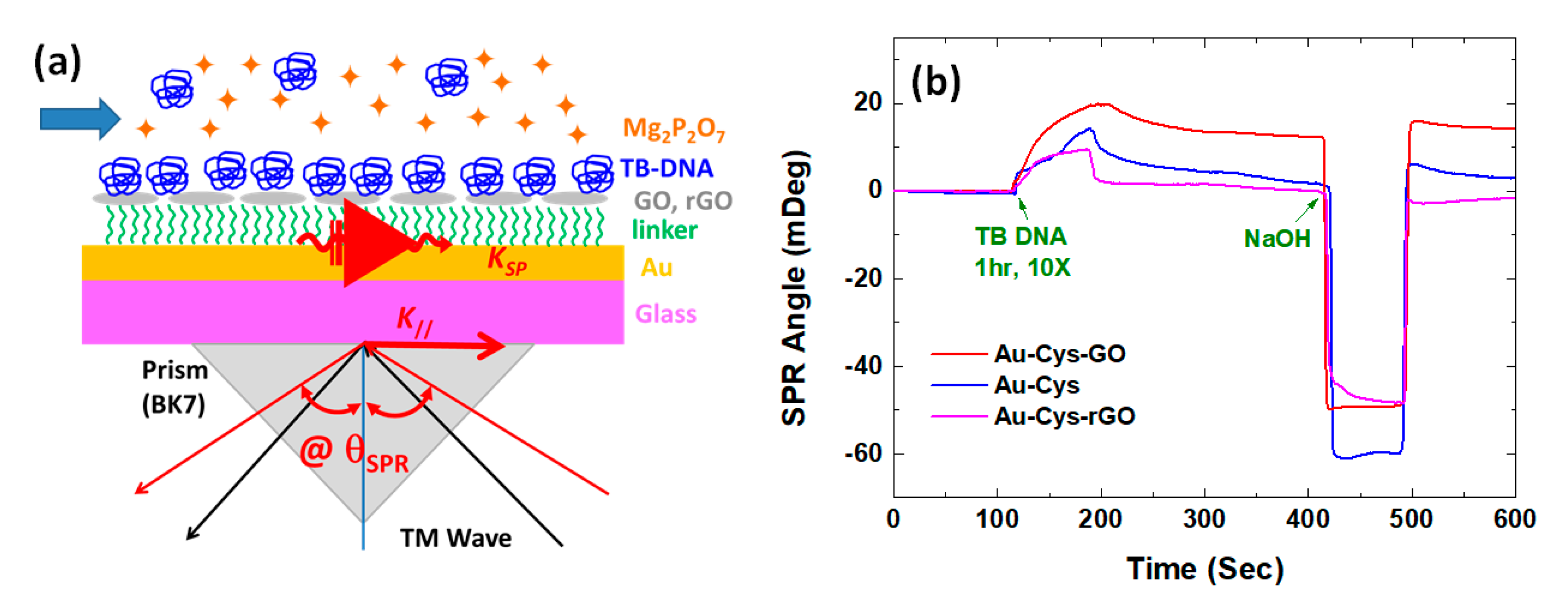 Nanomaterials 11 00216 g006