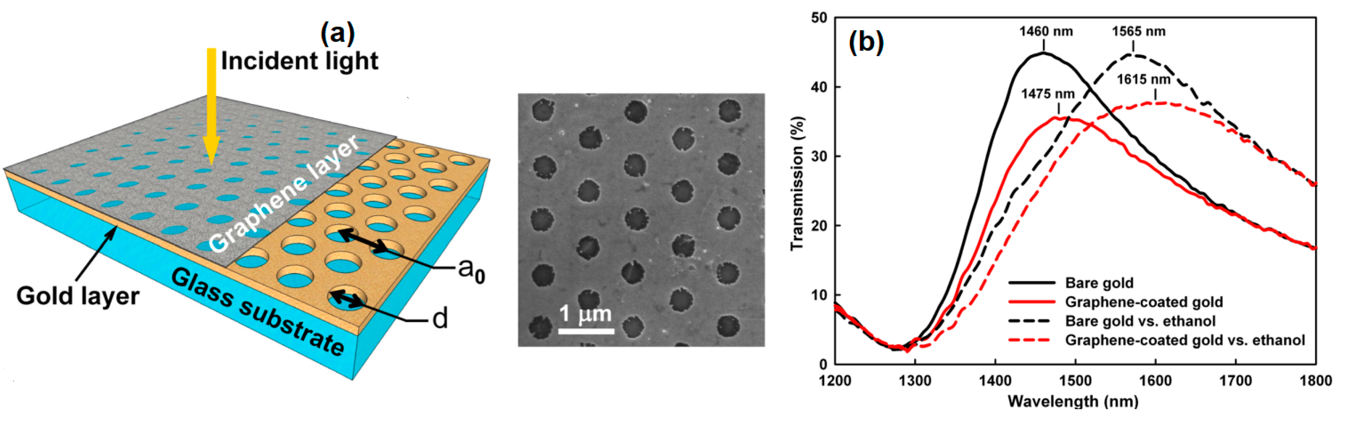 Nanomaterials 11 00216 g019