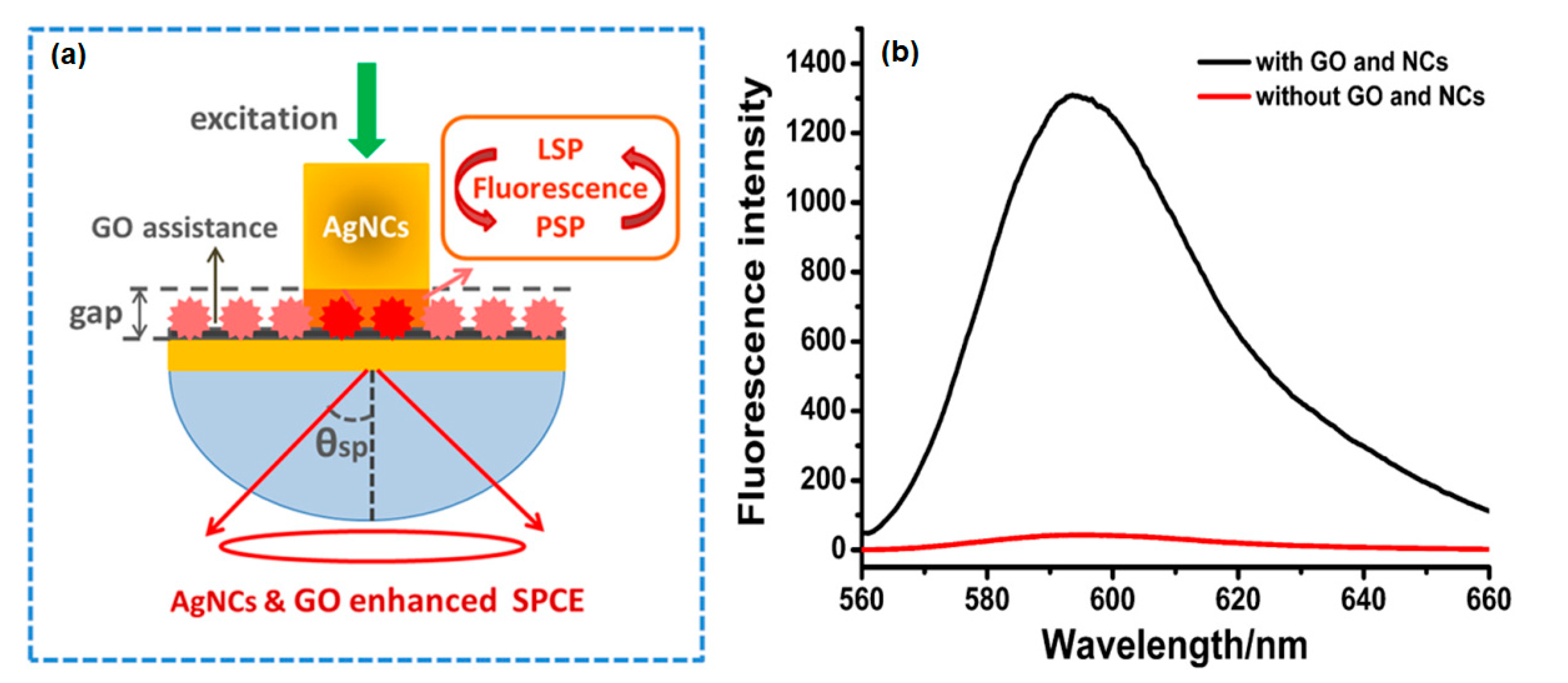 Nanomaterials 11 00216 g025