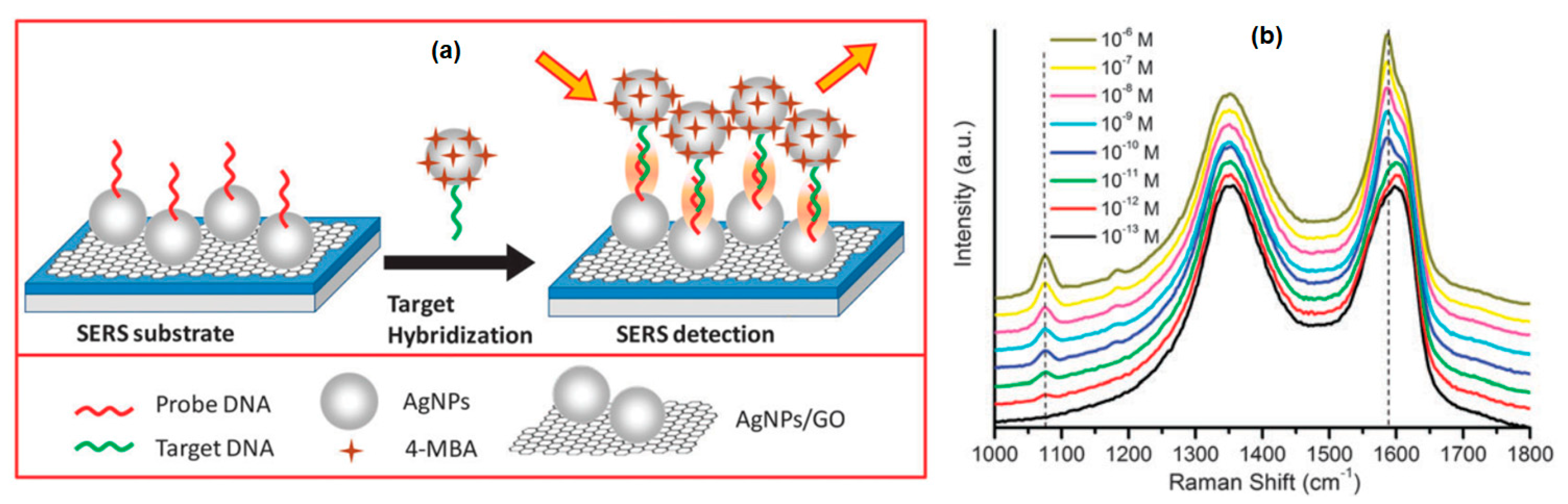 Nanomaterials 11 00216 g029