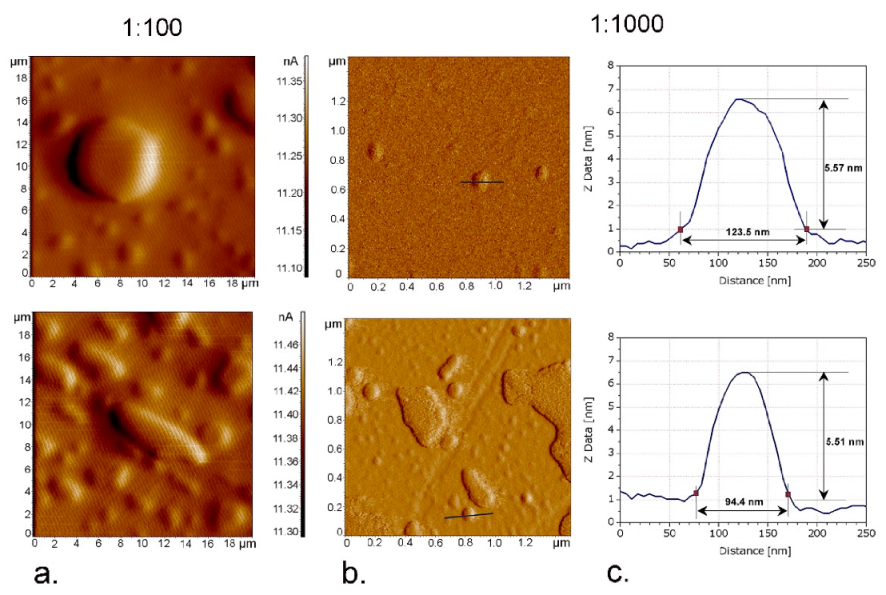 Nanomaterials 11 00217 g004 Nanomaterials 11 00217 g004