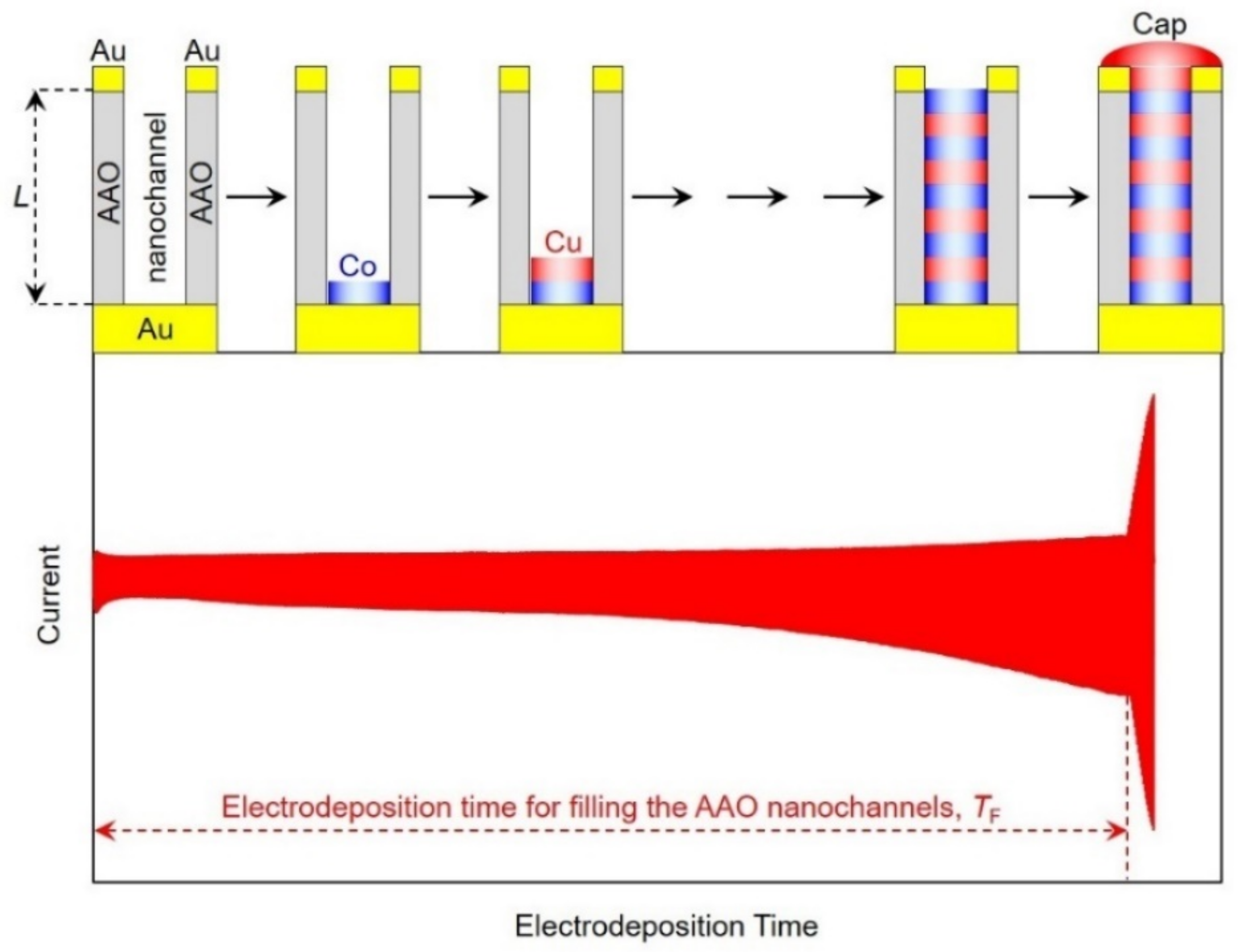 Nanomaterials 11 00218 g004 Nanomaterials 11 00218 g004