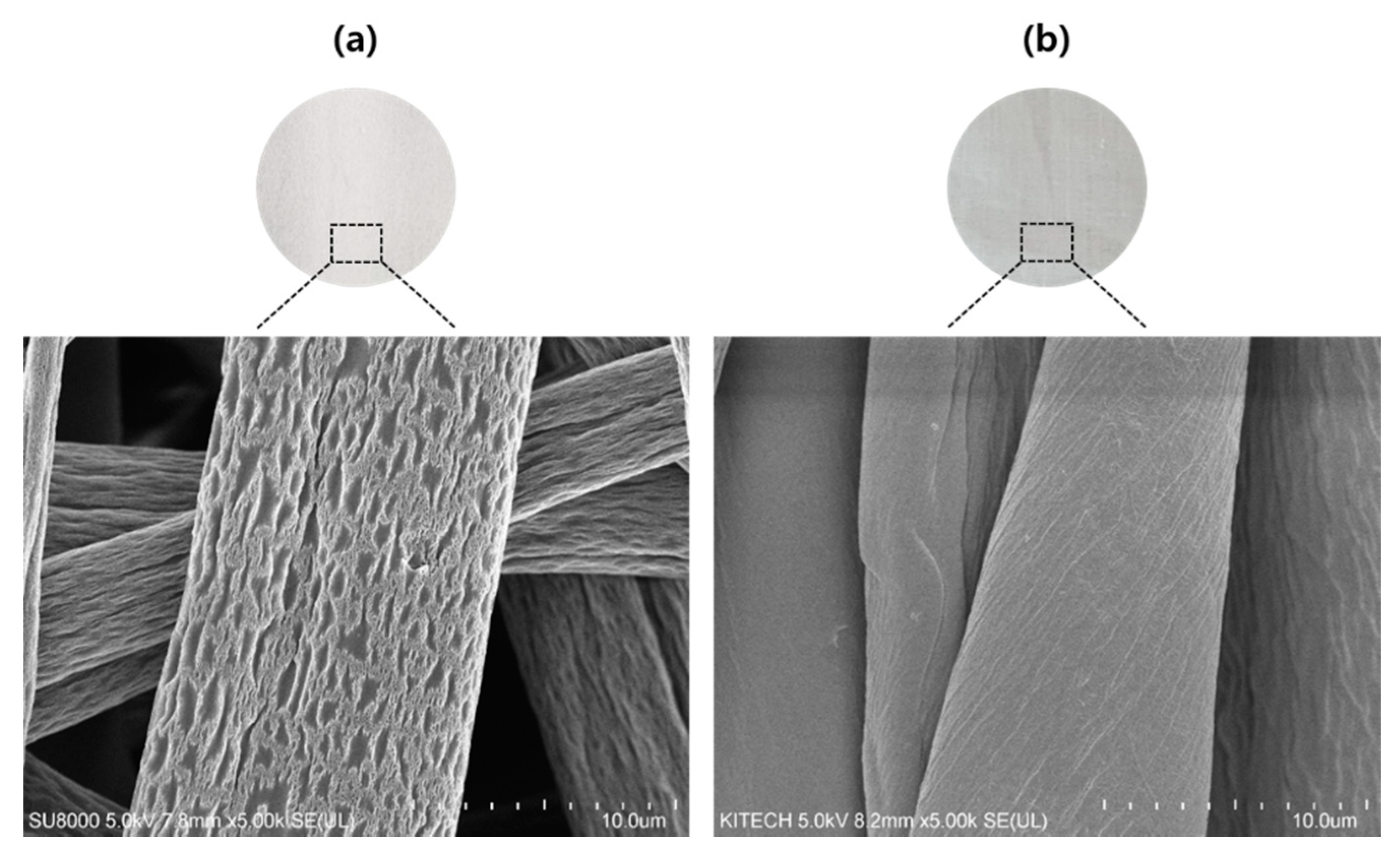 Nanomaterials 11 00222 g002