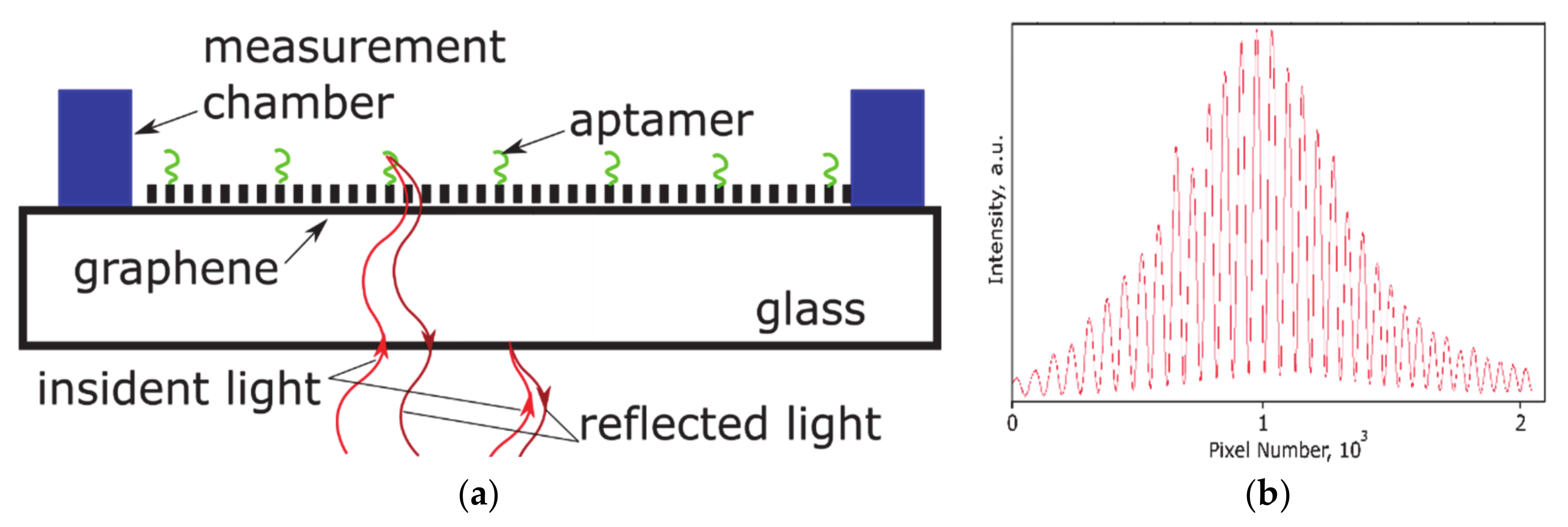 Nanomaterials 11 00226 g002