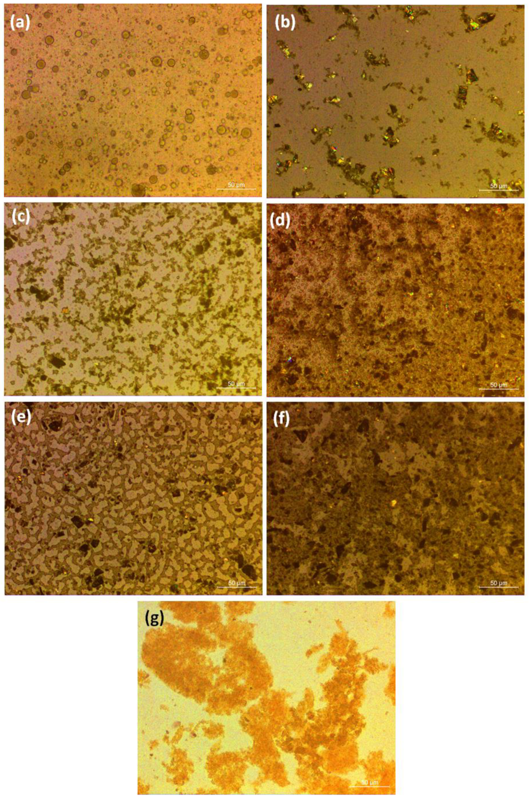 Nanomaterials 11 00228 g003