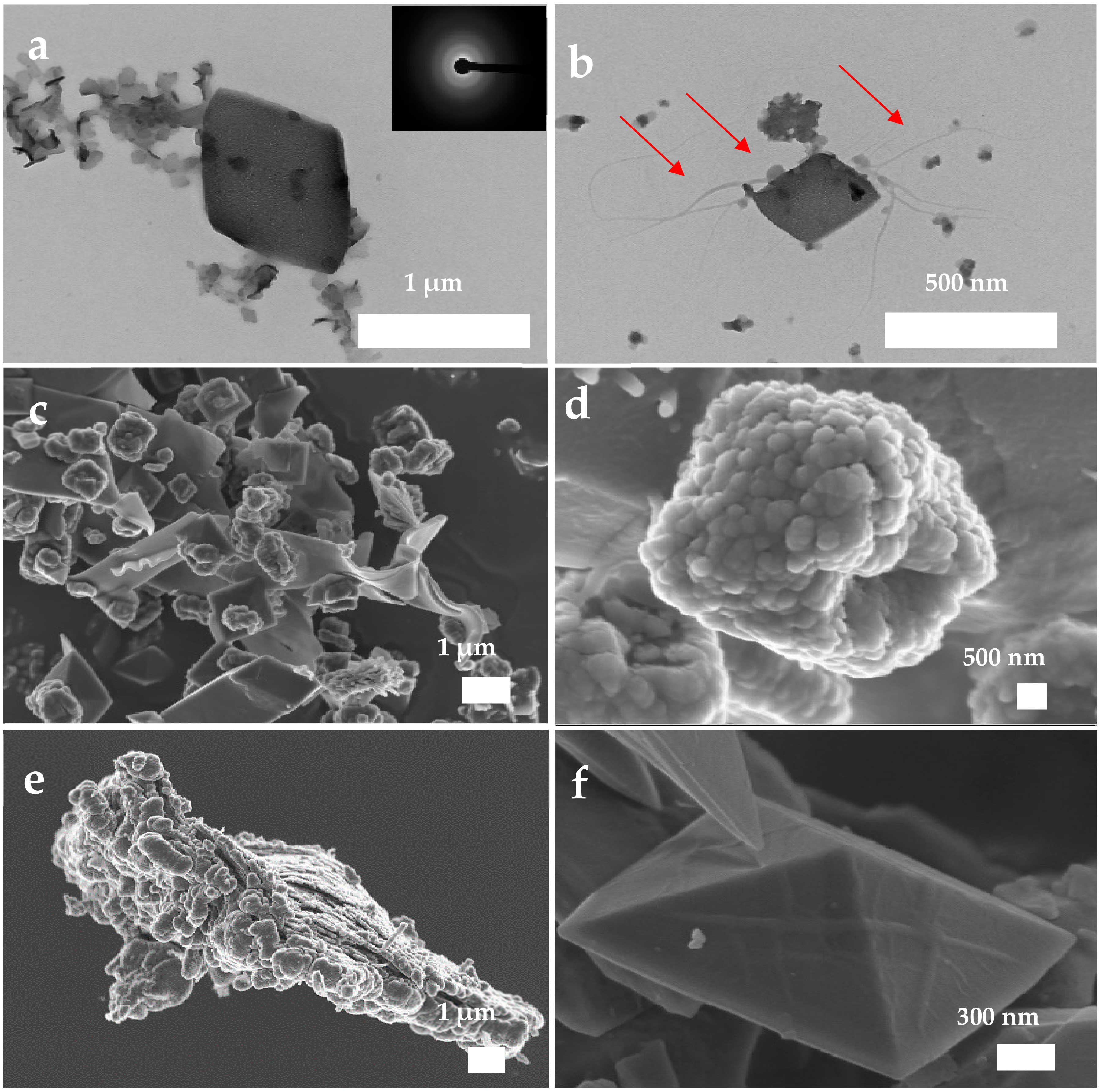Nanomaterials 11 00235 g008