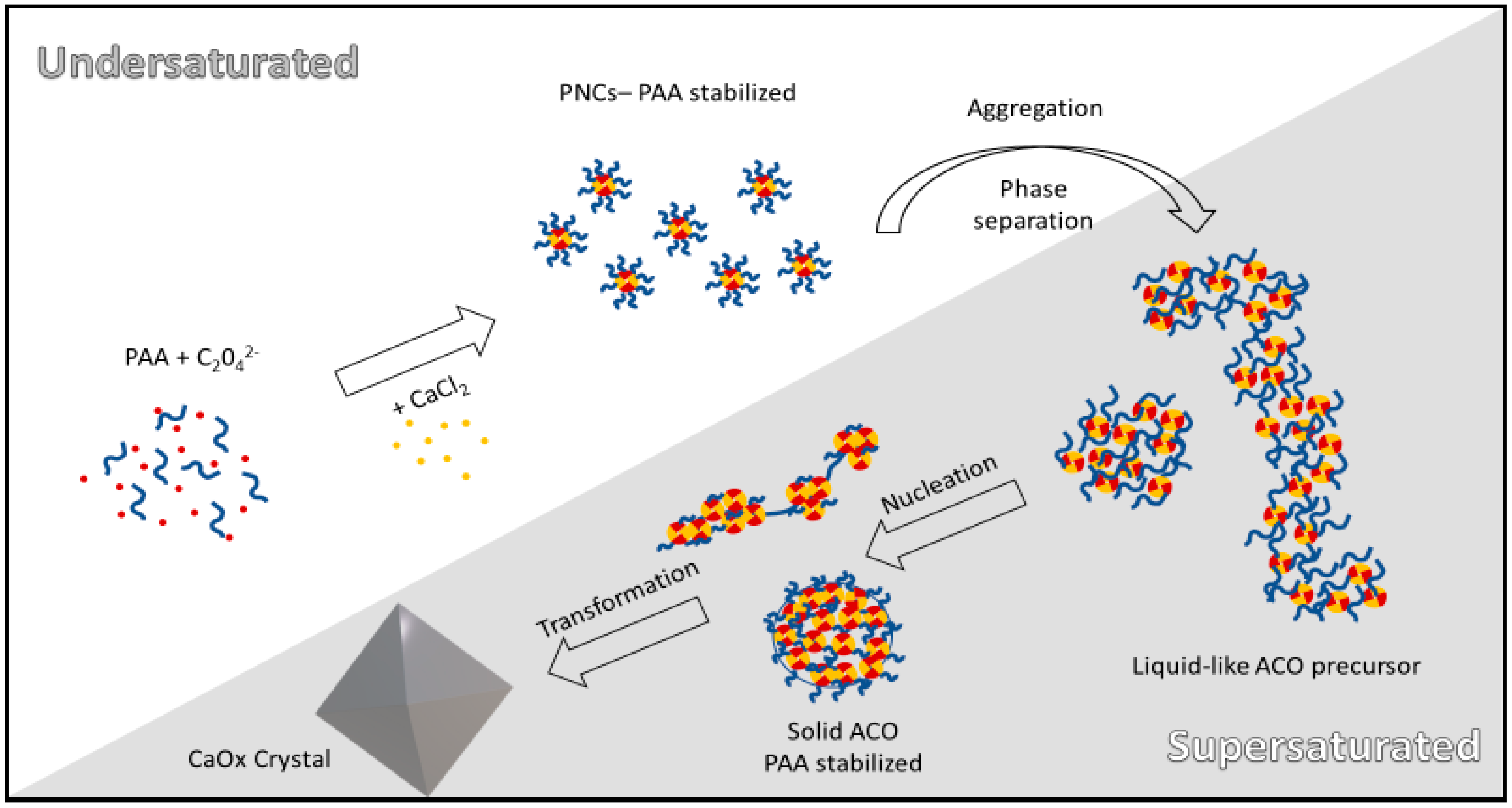 Nanomaterials 11 00235 sch001