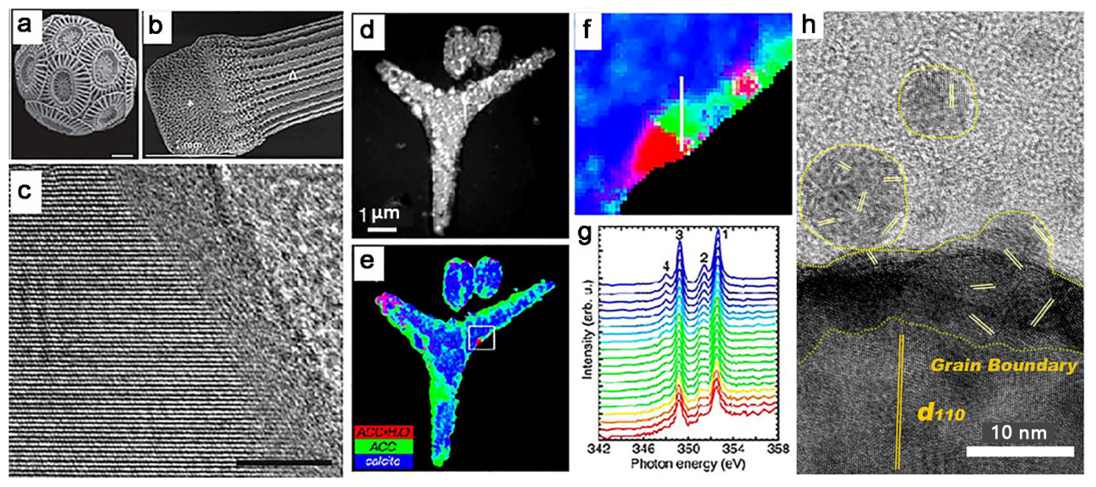 Nanomaterials 11 00241 g006