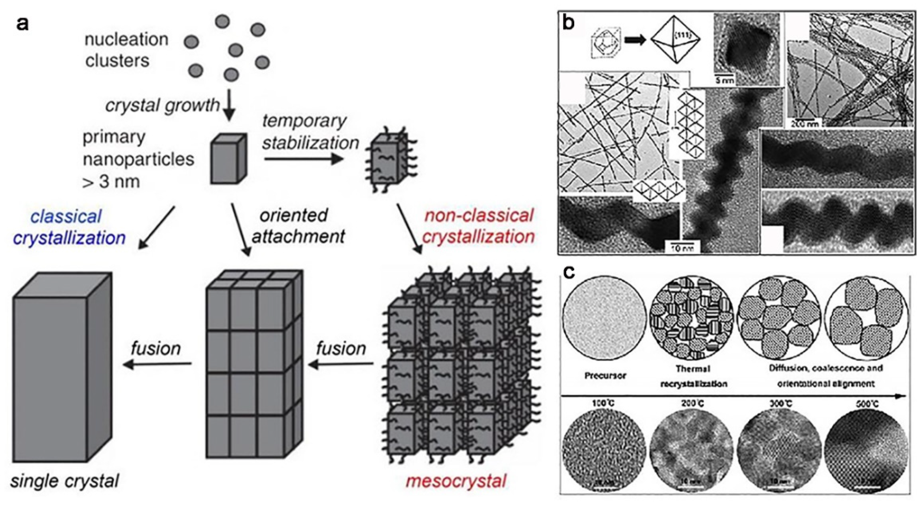 Nanomaterials 11 00241 g008