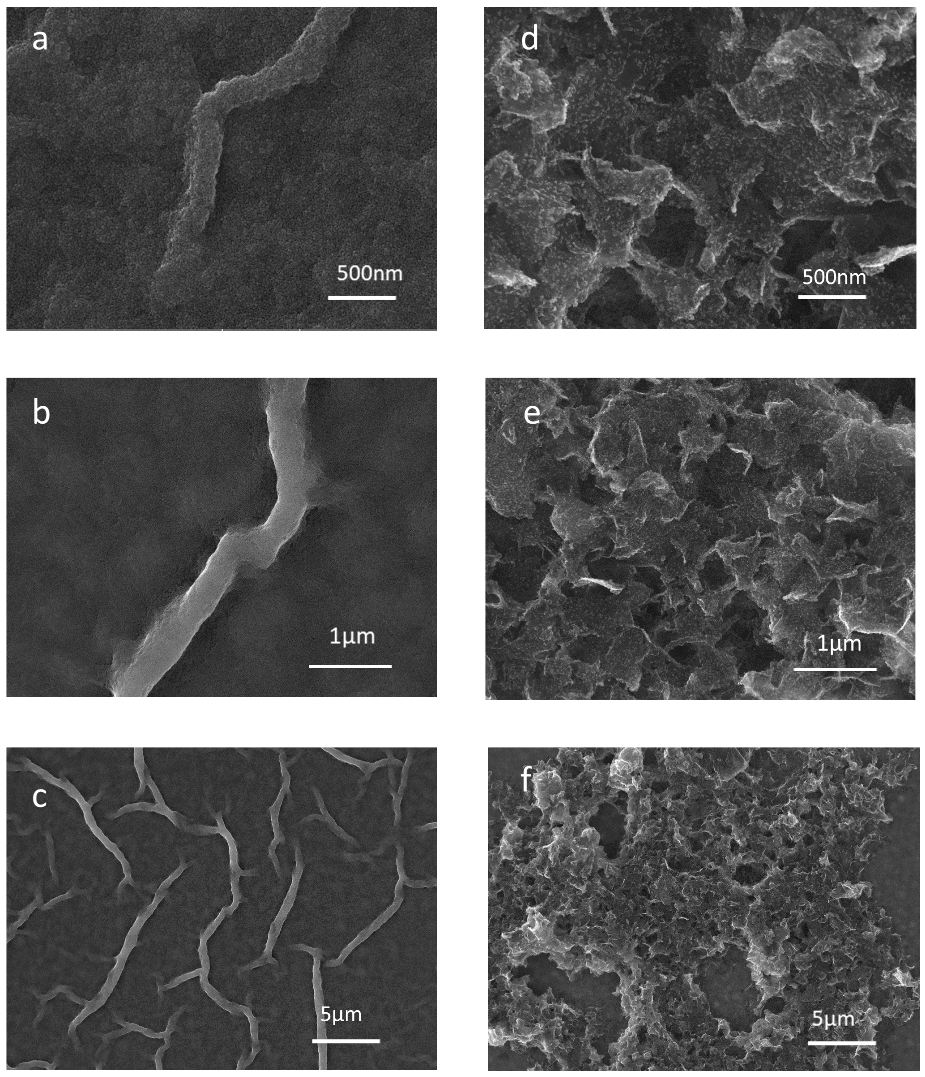 Nanomaterials 11 00242 g004