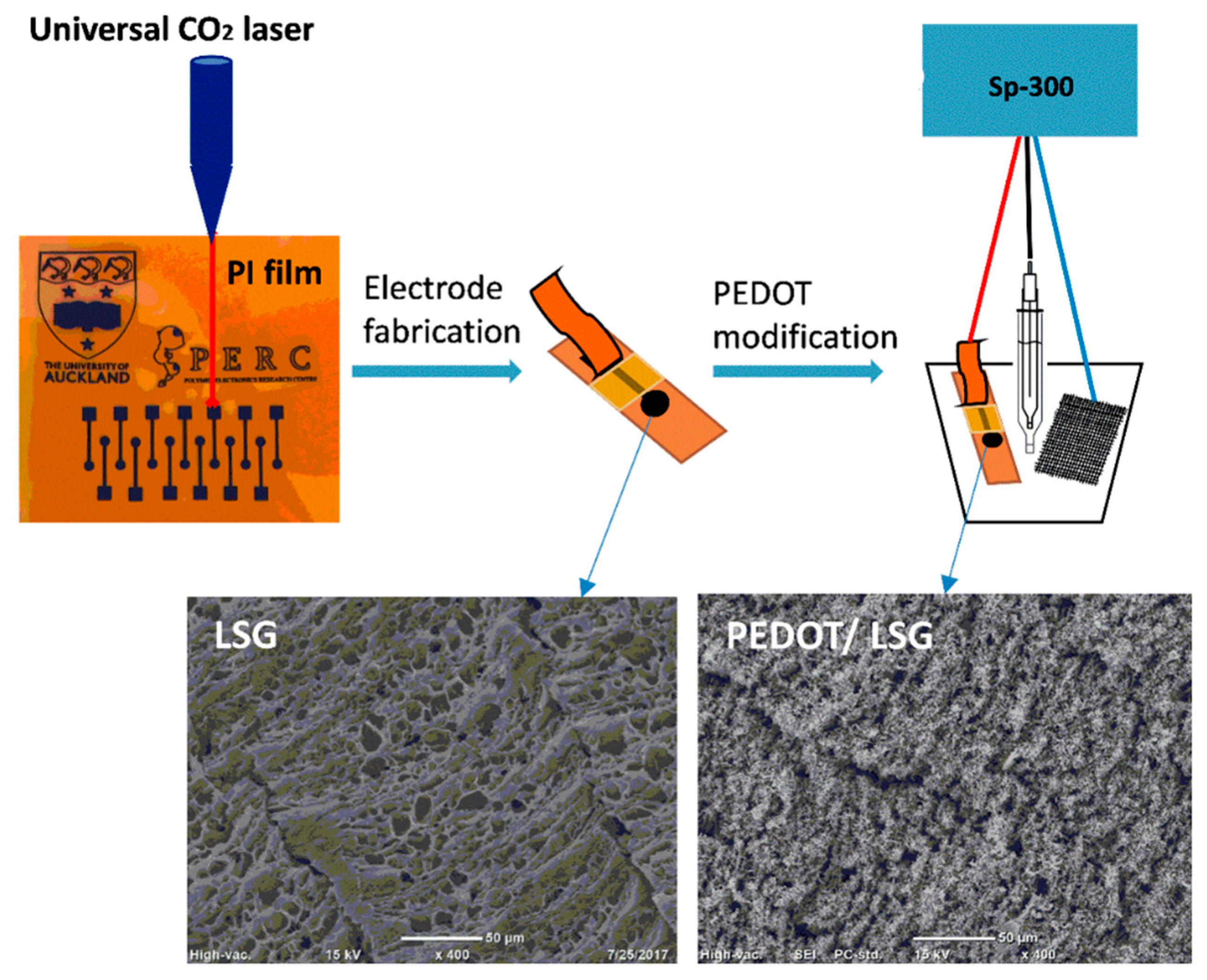 Nanomaterials 11 00252 g005 Nanomaterials 11 00252 g005