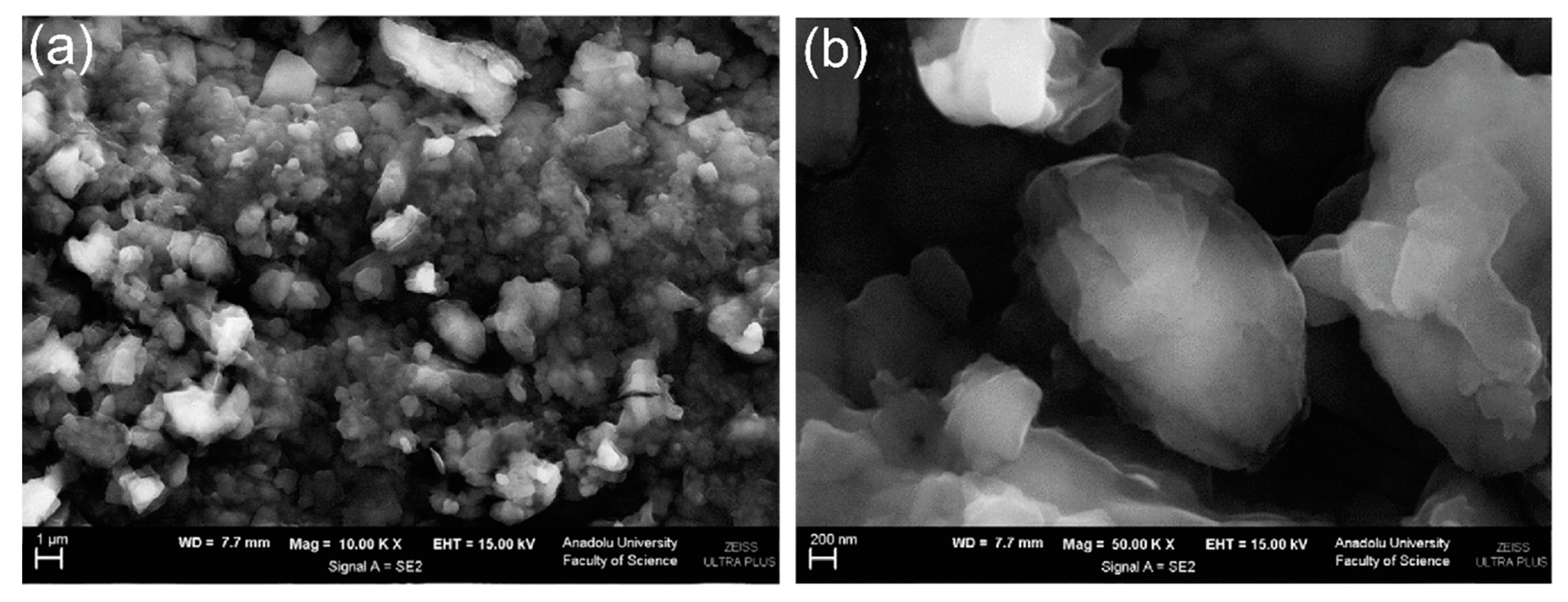 Nanomaterials 11 00252 g011 Nanomaterials 11 00252 g011